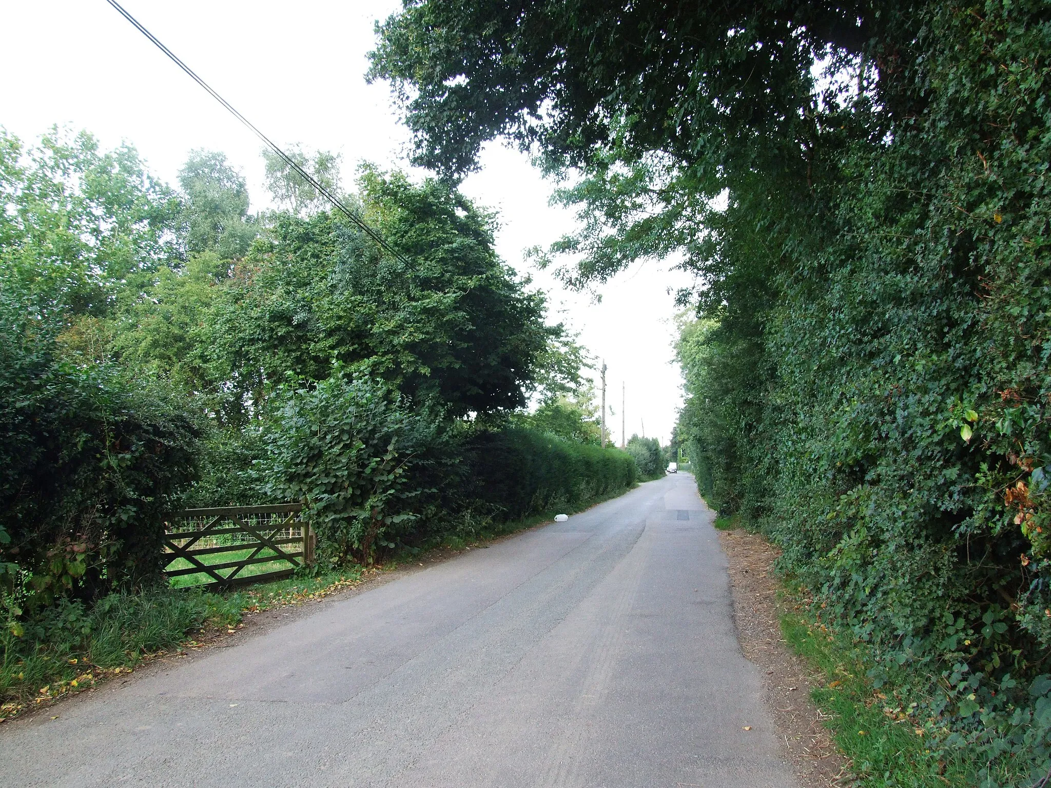 Photo showing: Amber Lane, Chart Sutton