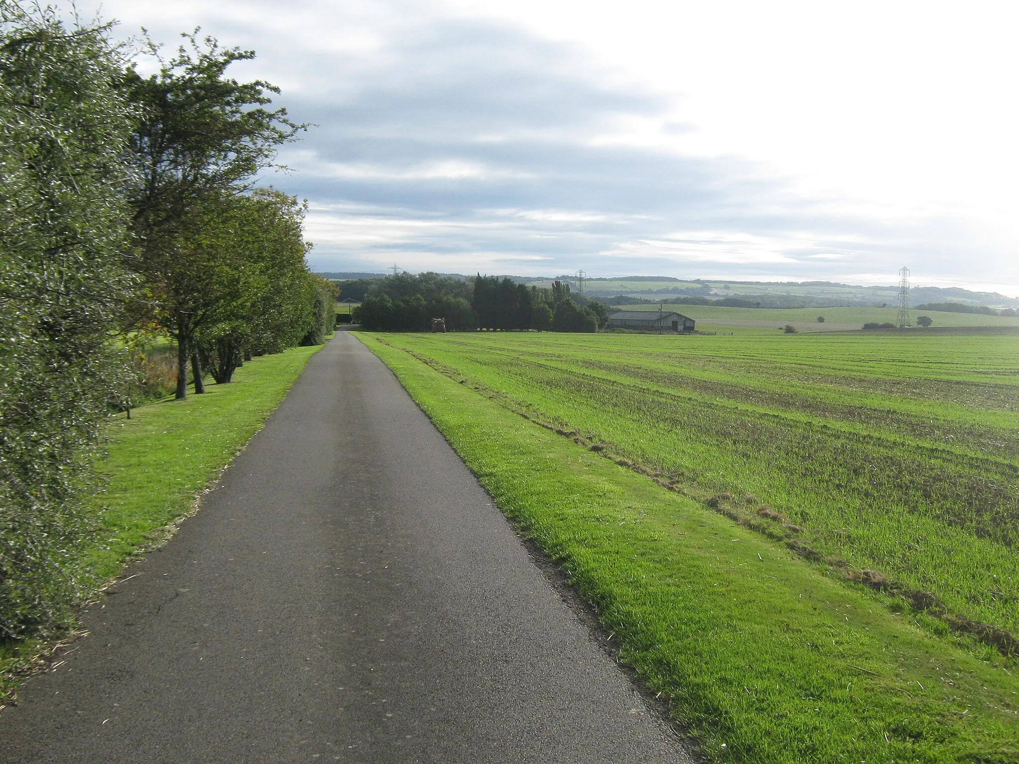 Photo showing: Access road to Park Farm