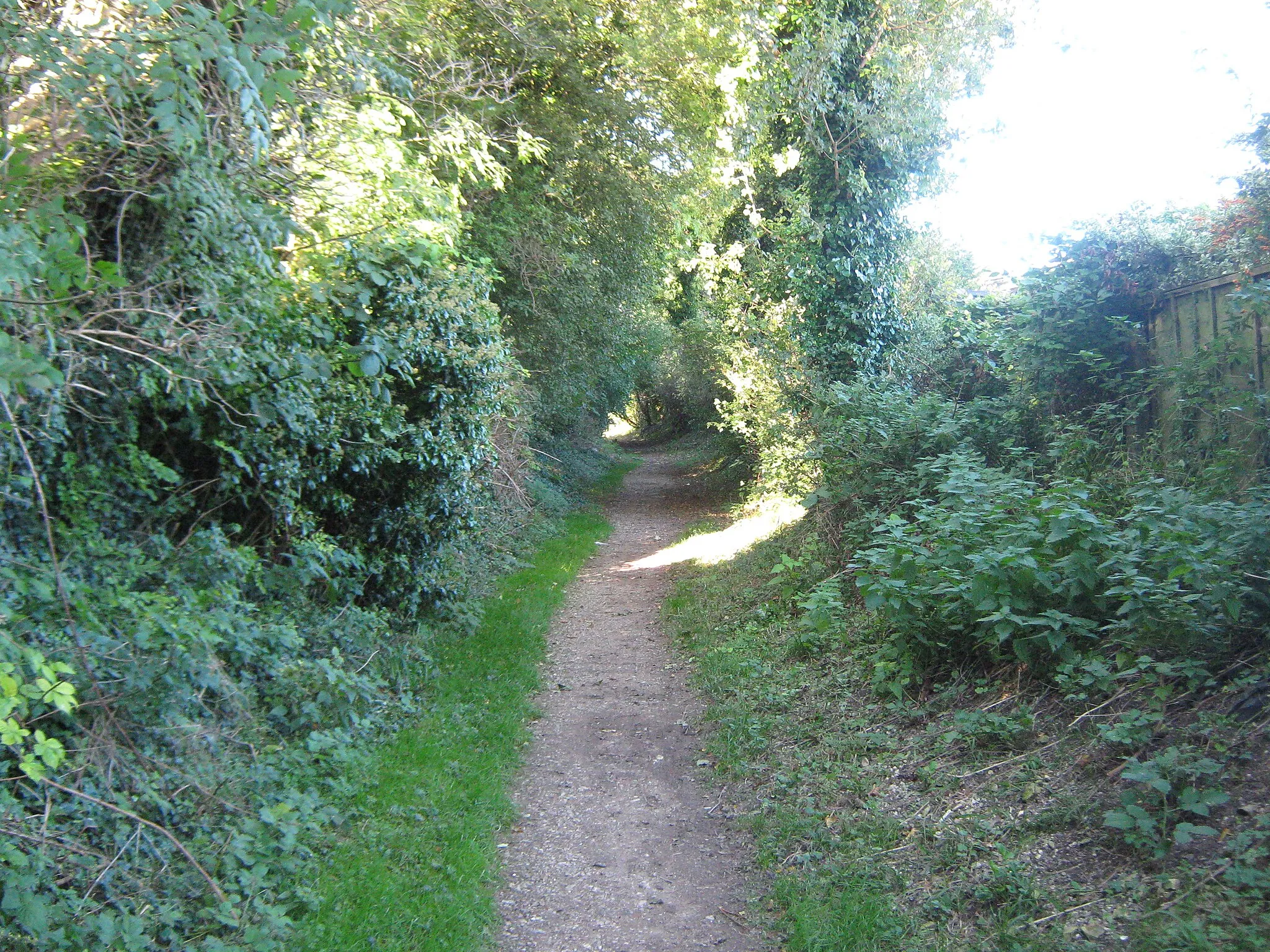 Photo showing: Footpath towards Palm Tree Way