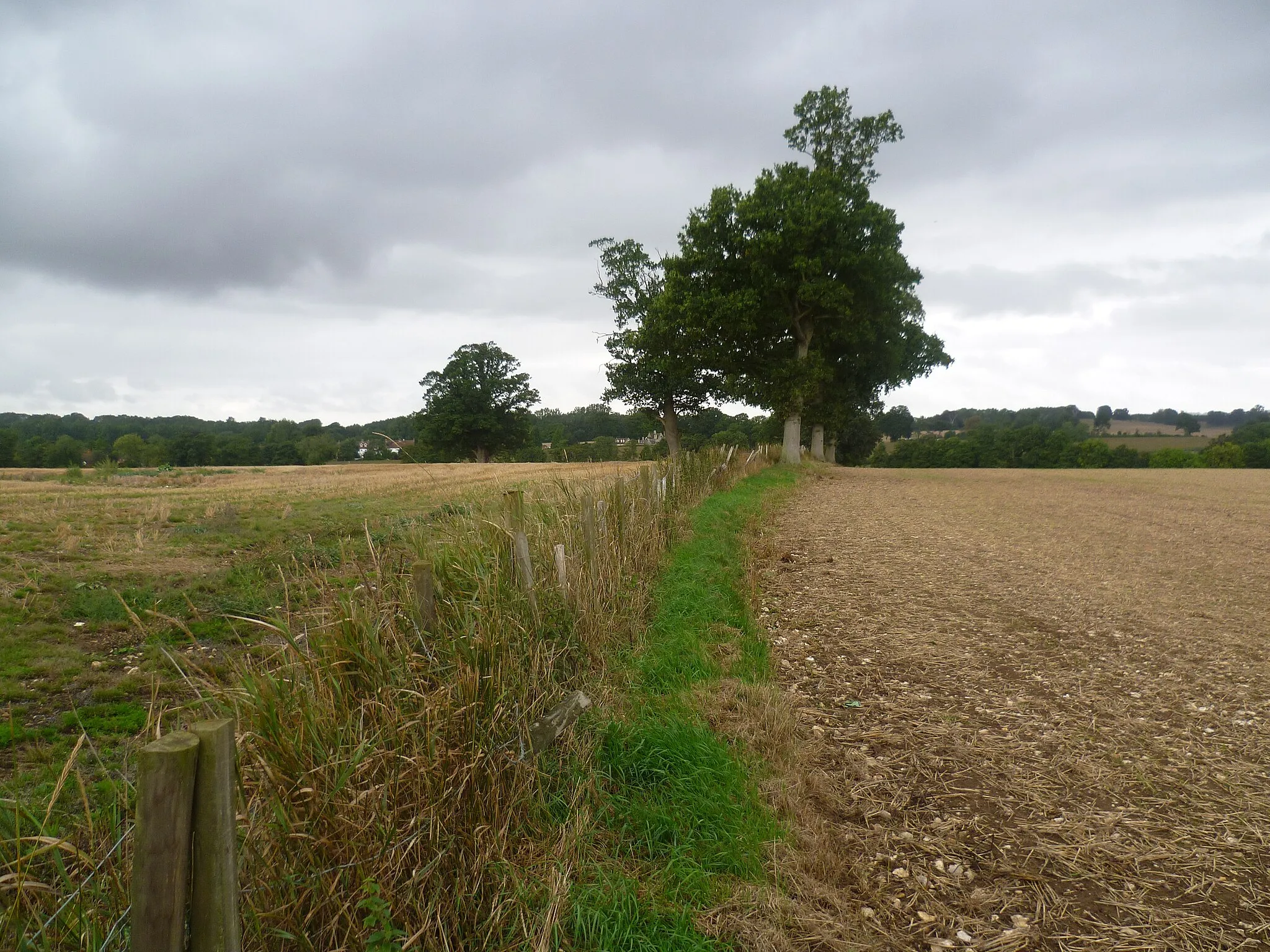 Photo showing: A field edge, seen from the Greensand Way