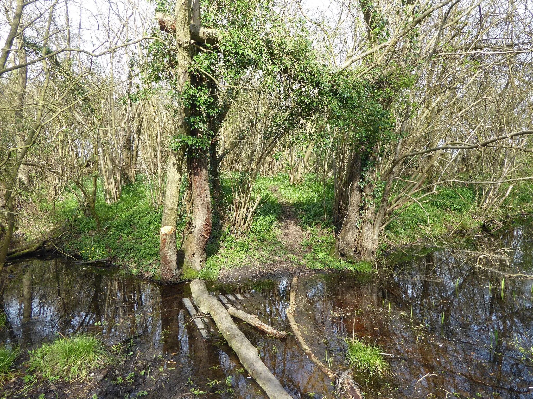 Photo showing: The moat at Devil's Den