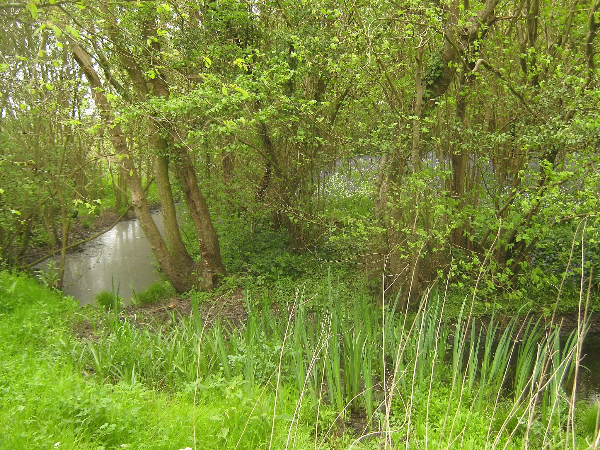 Photo showing: Corner of Devil's Den Moat