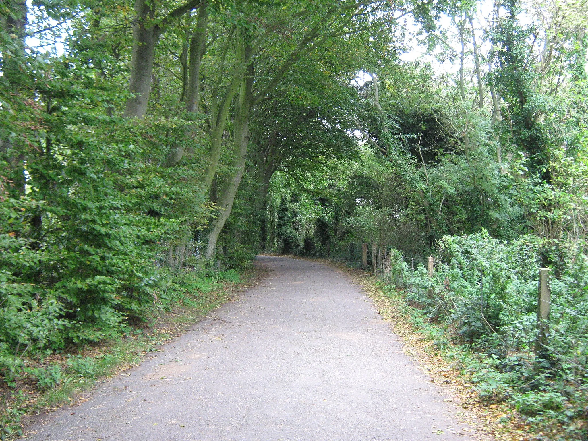 Photo showing: Access road from Lympne Castle