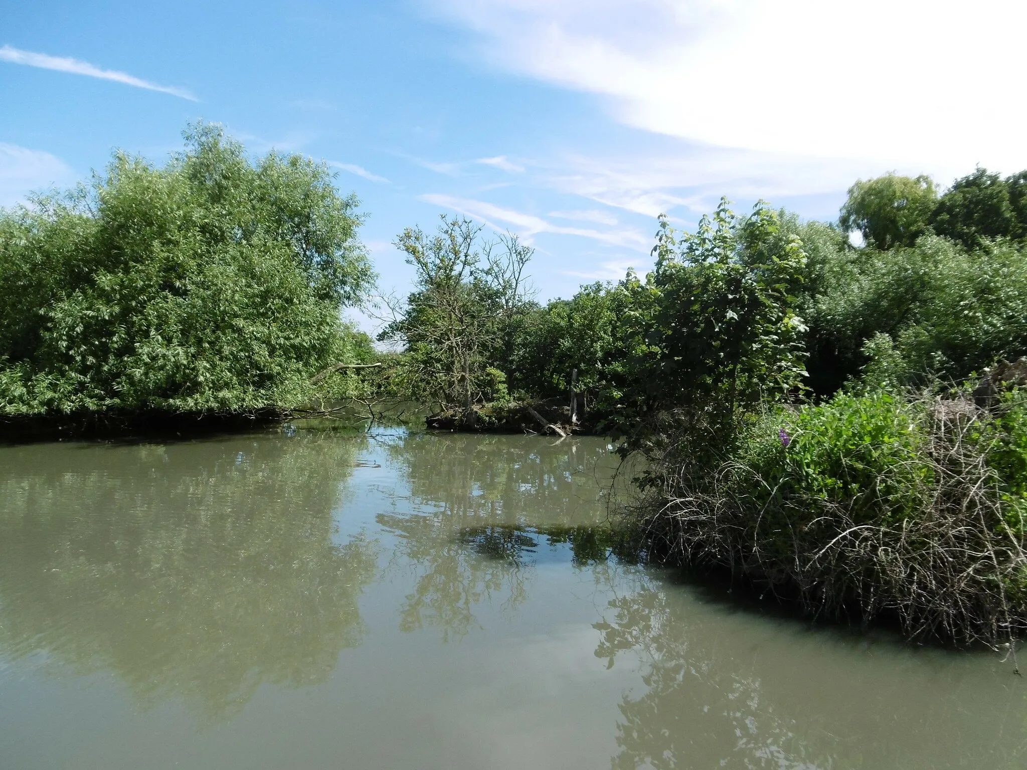 Photo showing: Broadditch Pond