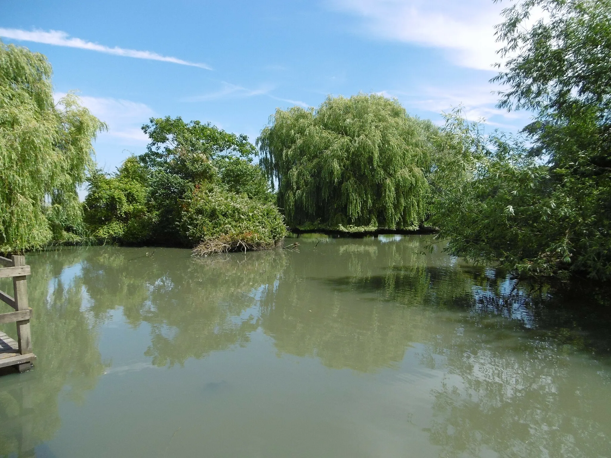 Photo showing: Broadditch Pond