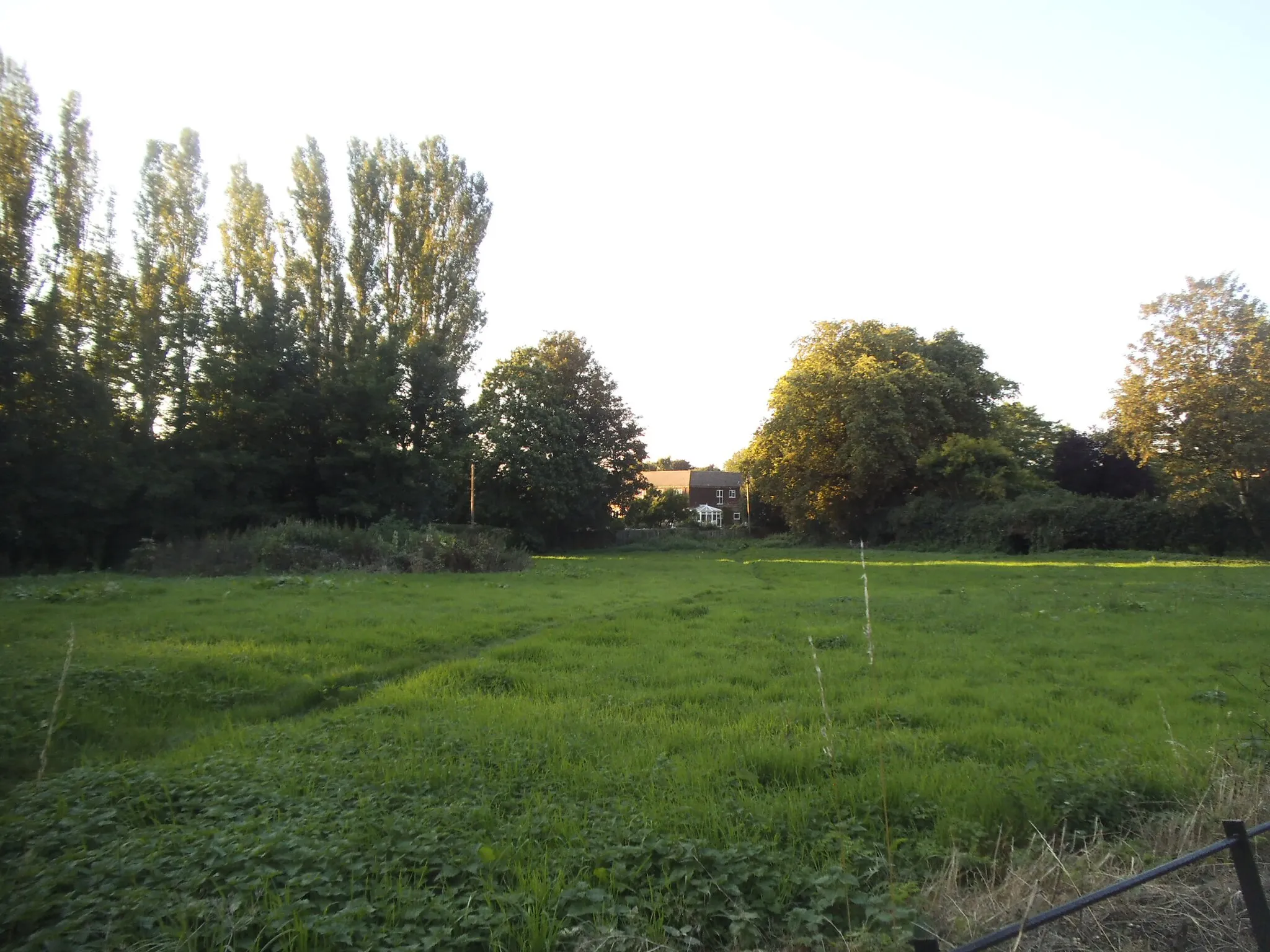 Photo showing: Field in Cobham