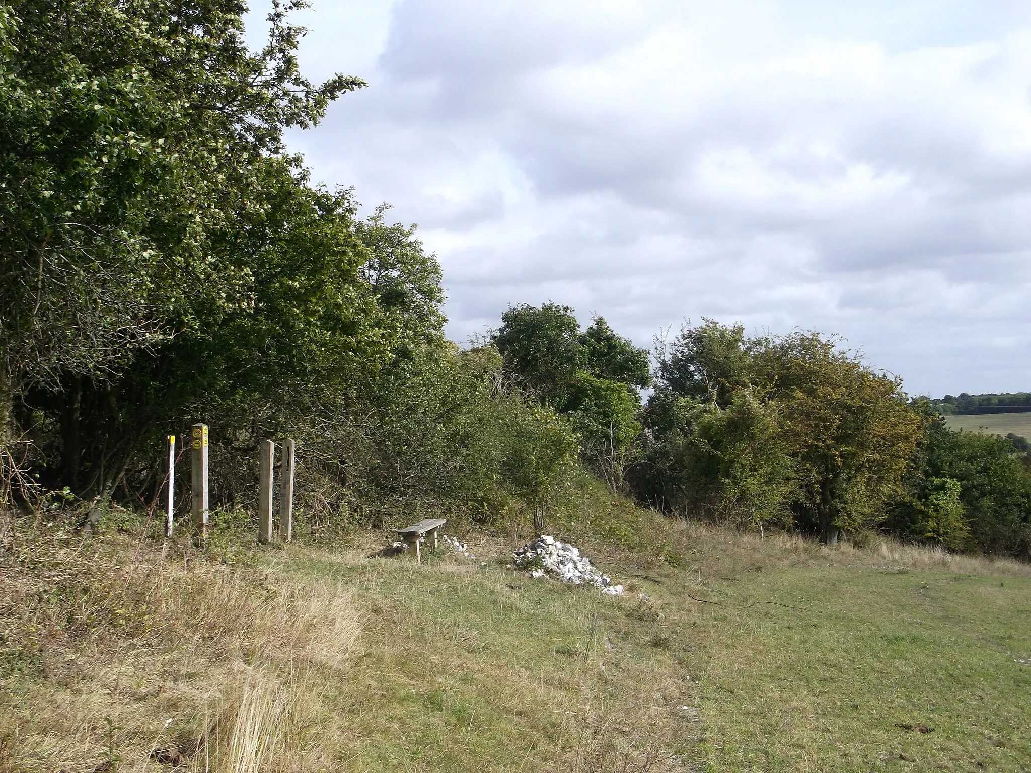 Photo showing: Bench and footpath junction on Henley Down