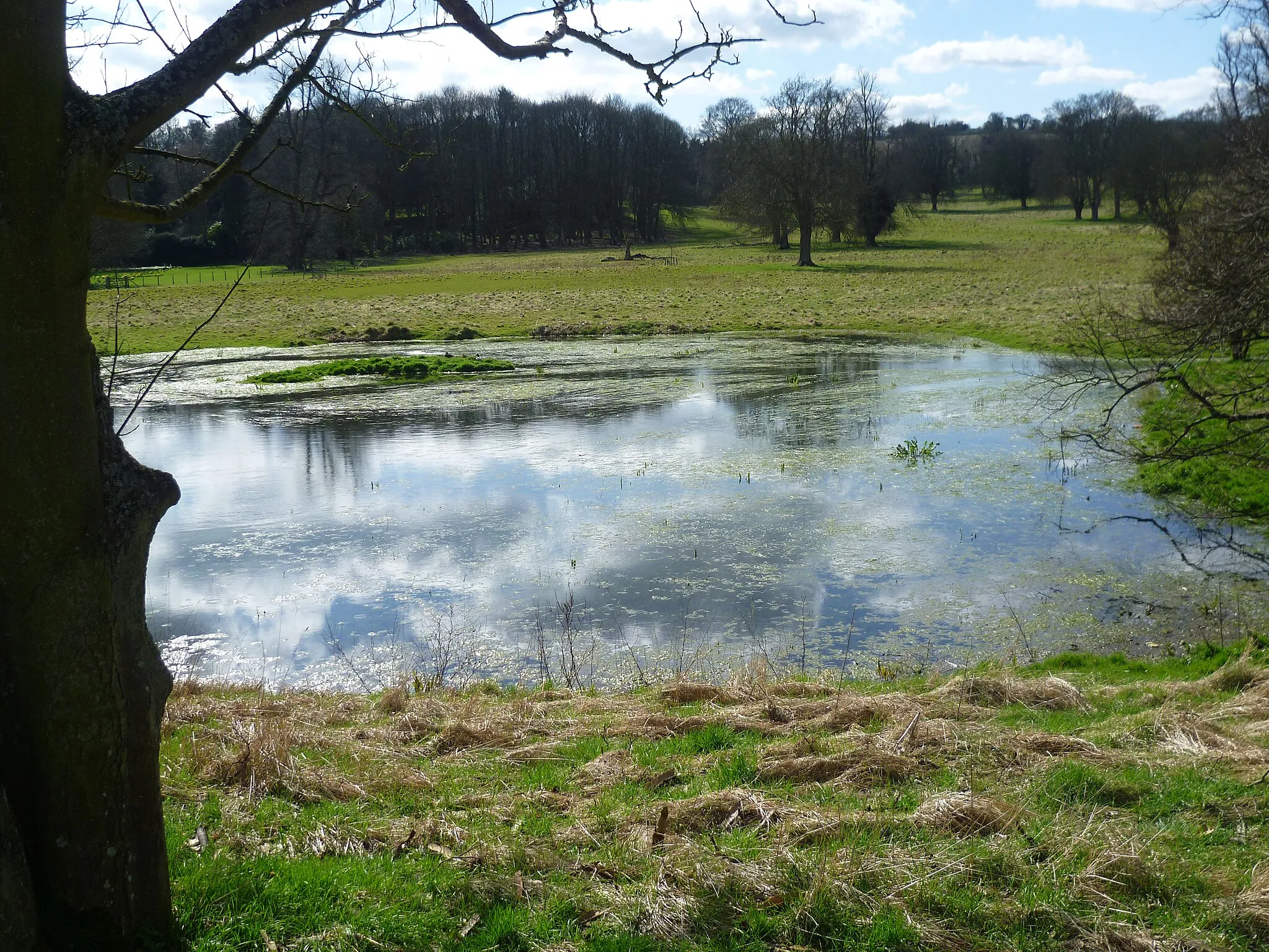 Photo showing: A flooded Nail Bourne in Charlton Park seen from the Elham Valley Way