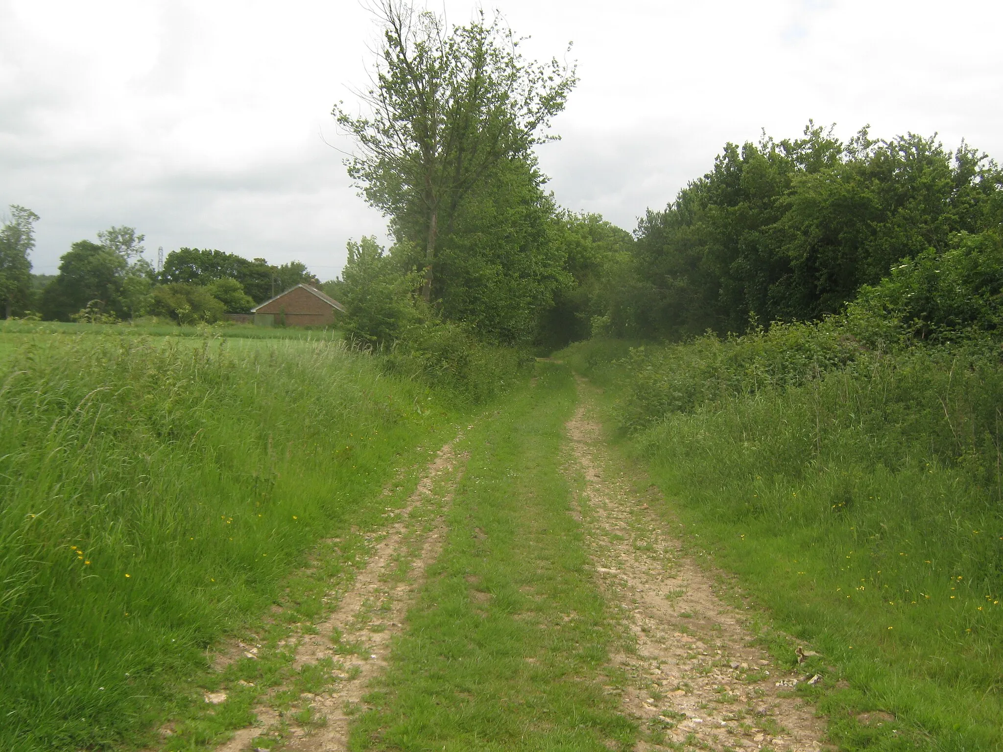 Photo showing: Bridleway to Eastleigh Court and Lower Courthope Farm