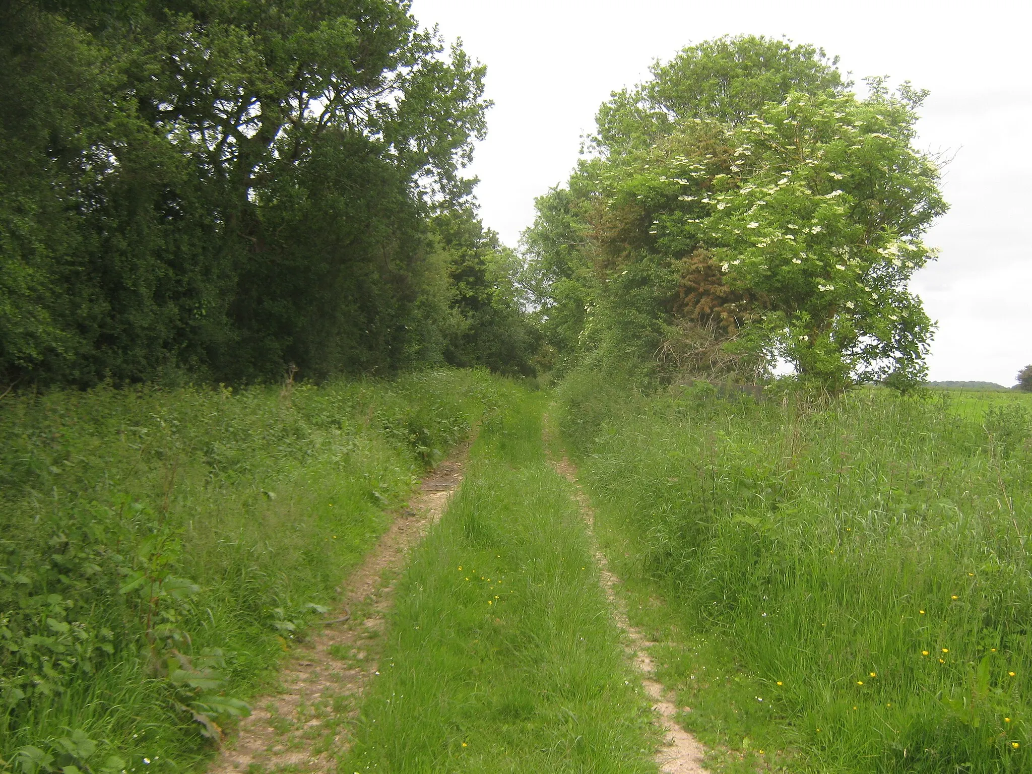 Photo showing: Bridleway to Stone Street