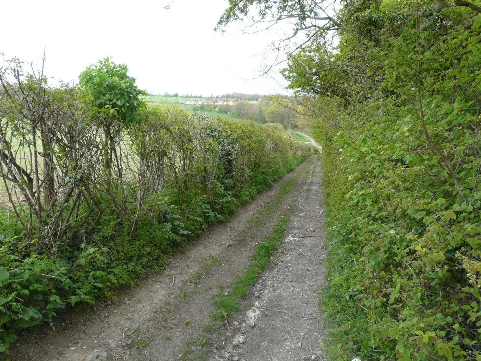 Photo showing: A descent of The North Downs Way