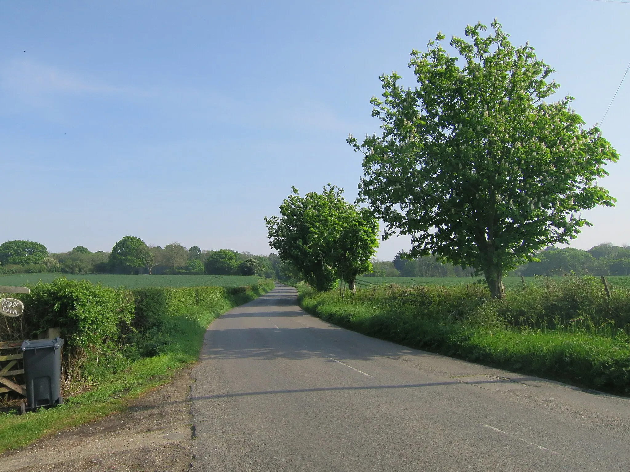 Photo showing: Appledore Road