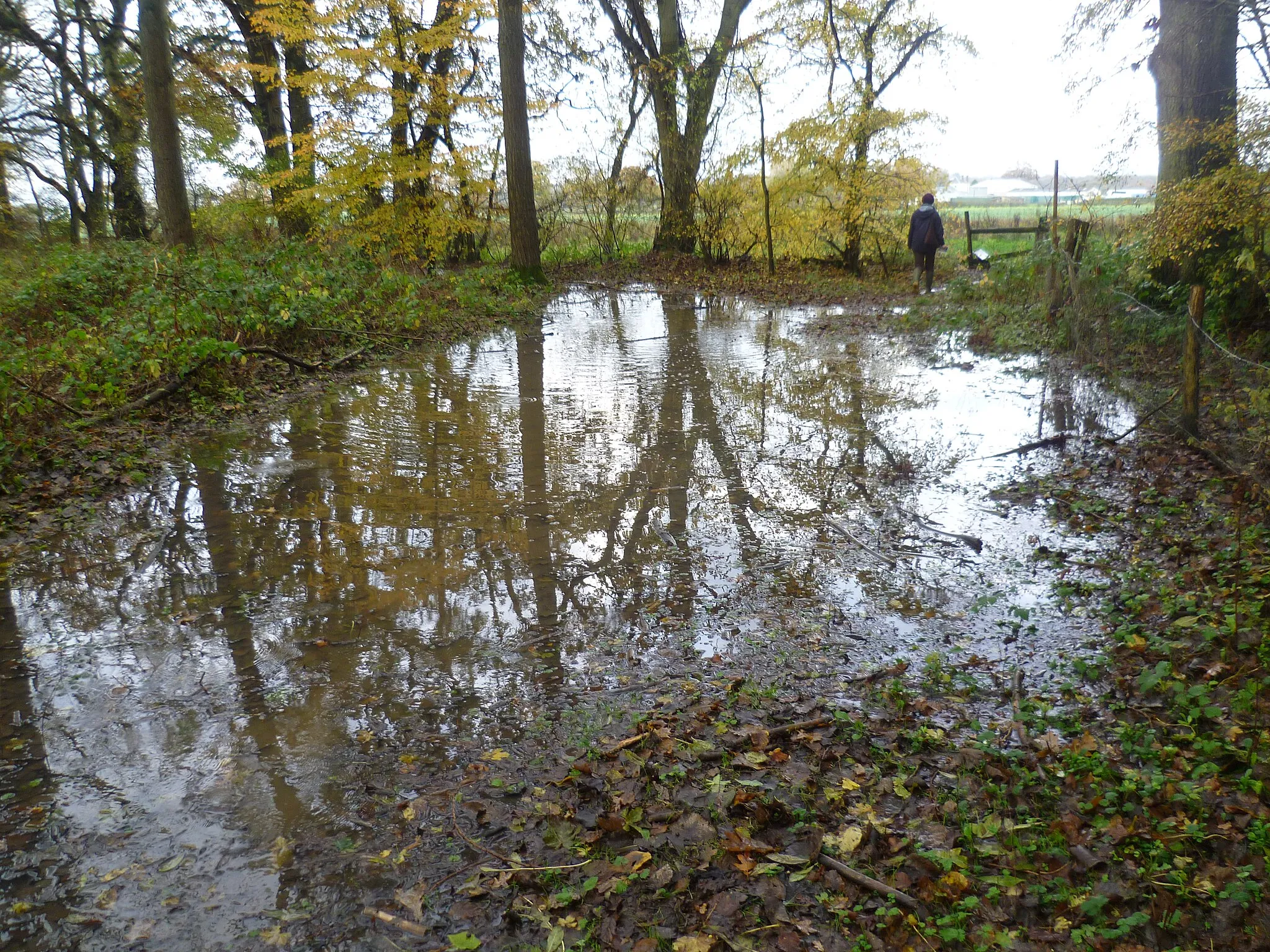 Photo showing: A  flooded footpath in Frid Wood