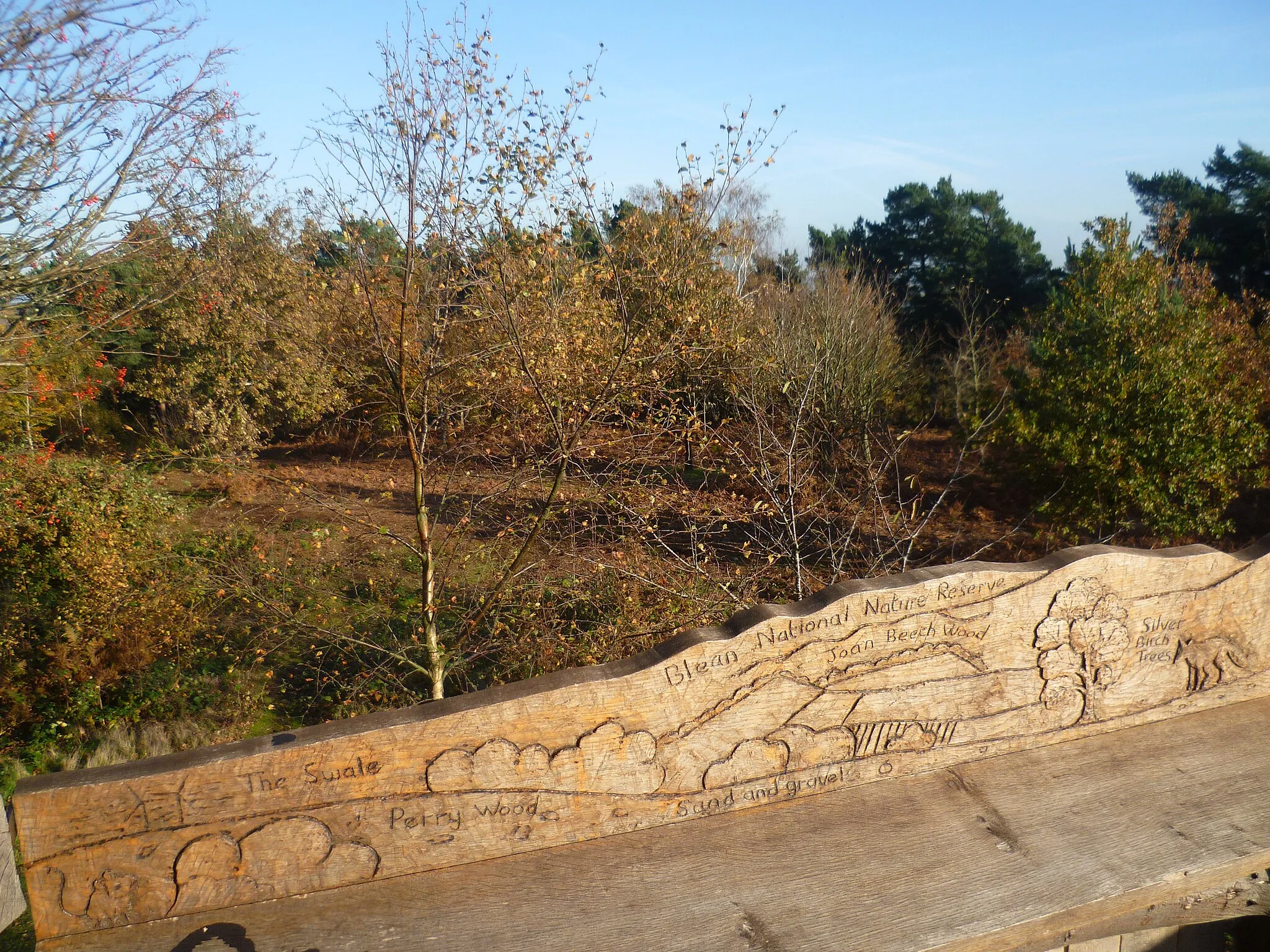 Photo showing: Carving on a viewpoint