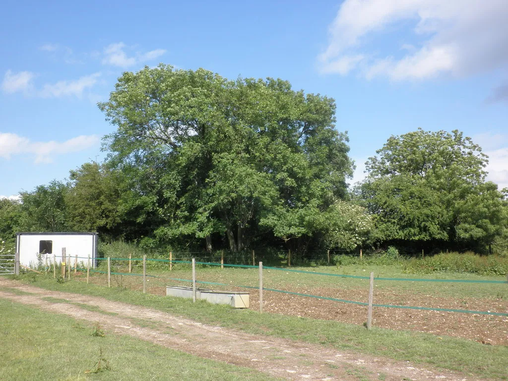 Photo showing: Betsoms Hill