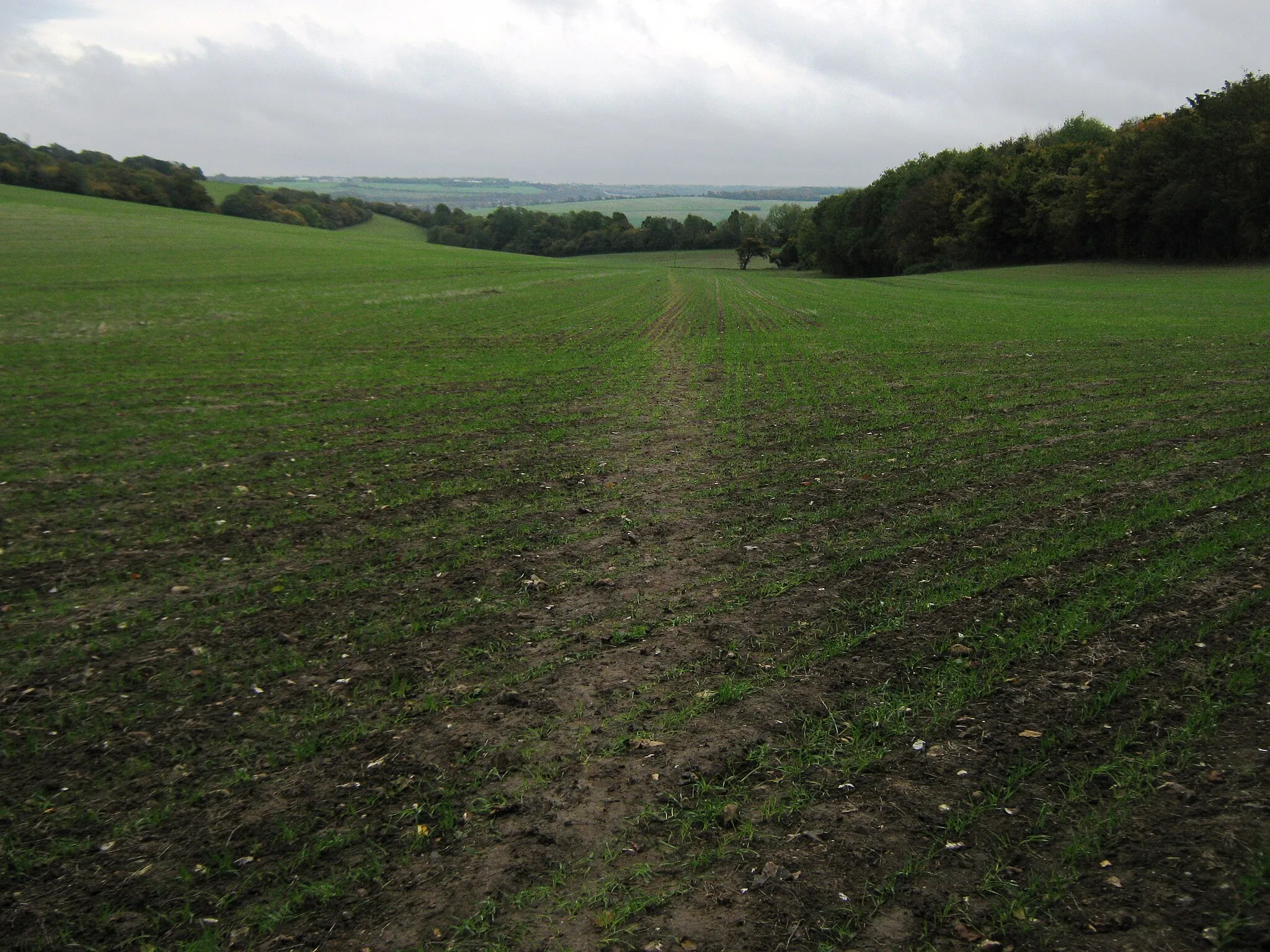 Photo showing: Footpath through Mill Hill Valley