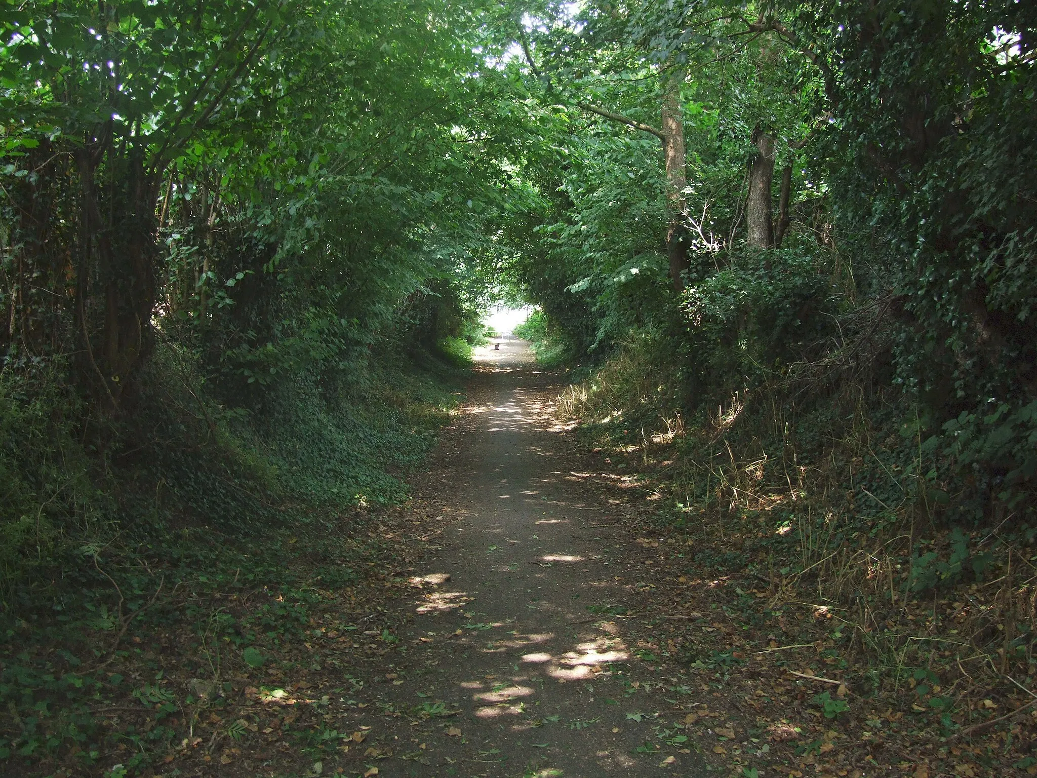 Photo showing: Church Road, Downswood