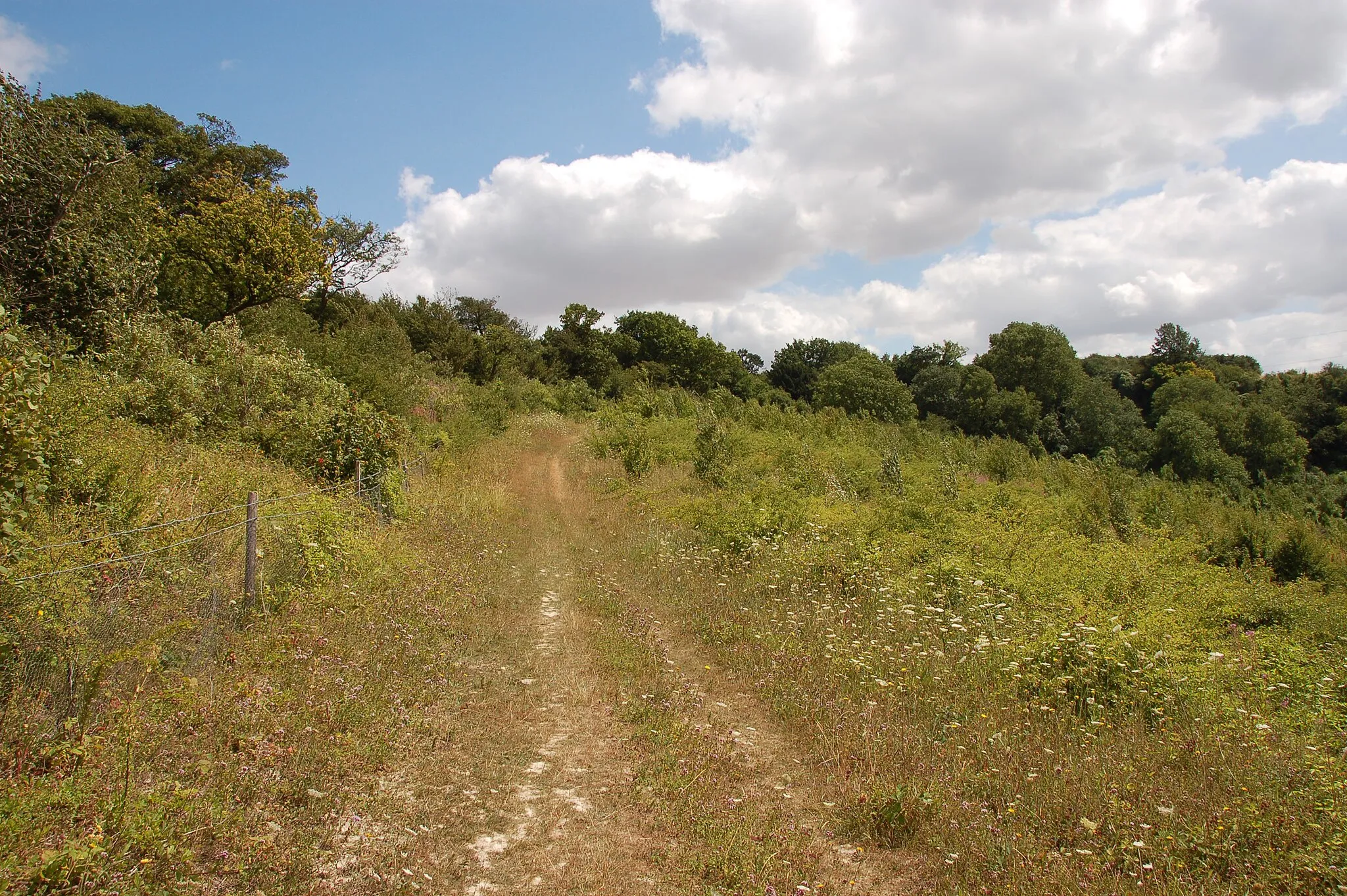 Photo showing: Description: The North Downs Way near Hollinbourne
Author: Alfred Gay
Source: Self Made

Date: 25th March 2007