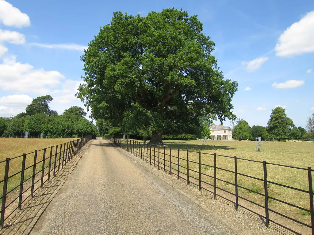 Photo showing: Belmont House drive