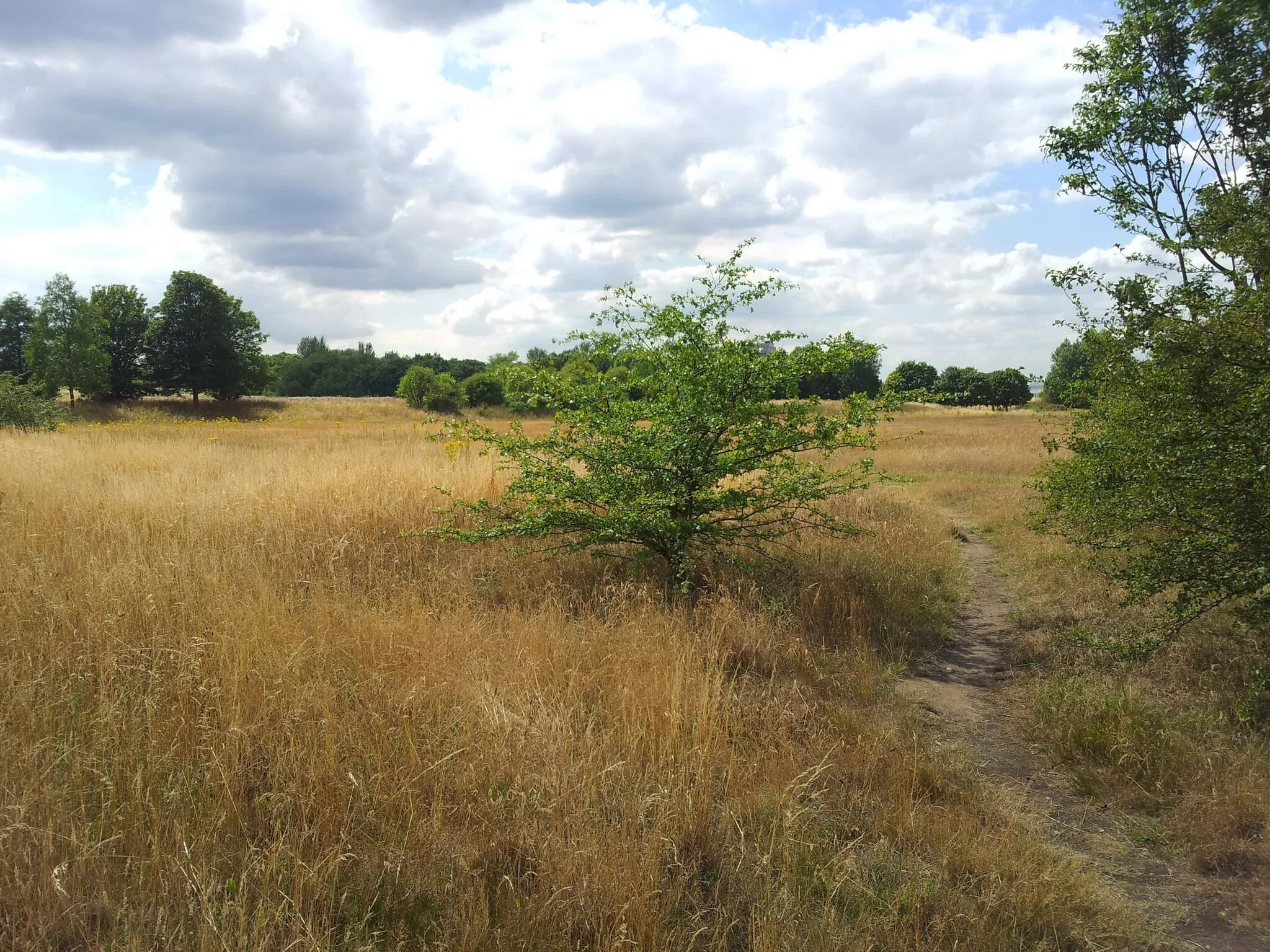 Photo showing: View of the southern section of Woolwich Common, Woolwich, Southeast London.
