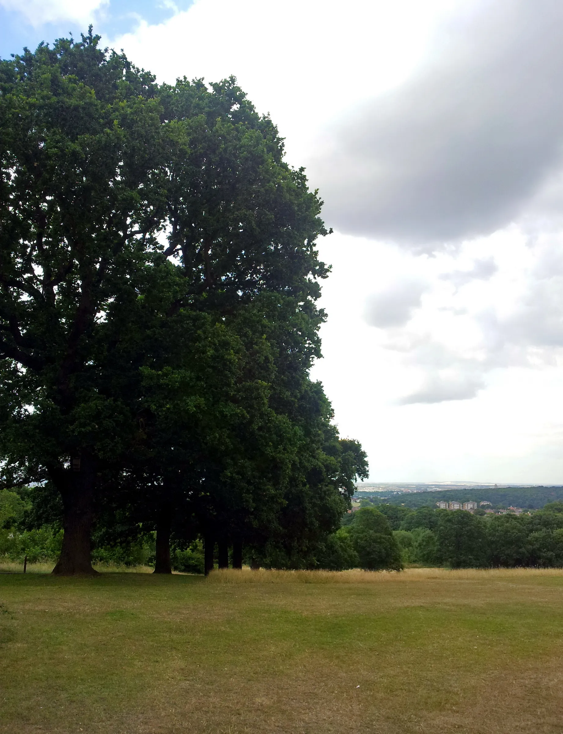 Photo showing: View of Shrewsbury Park, a natural park on the slope of Shooters Hill between Woolwich and Plumstead, Southeast London.