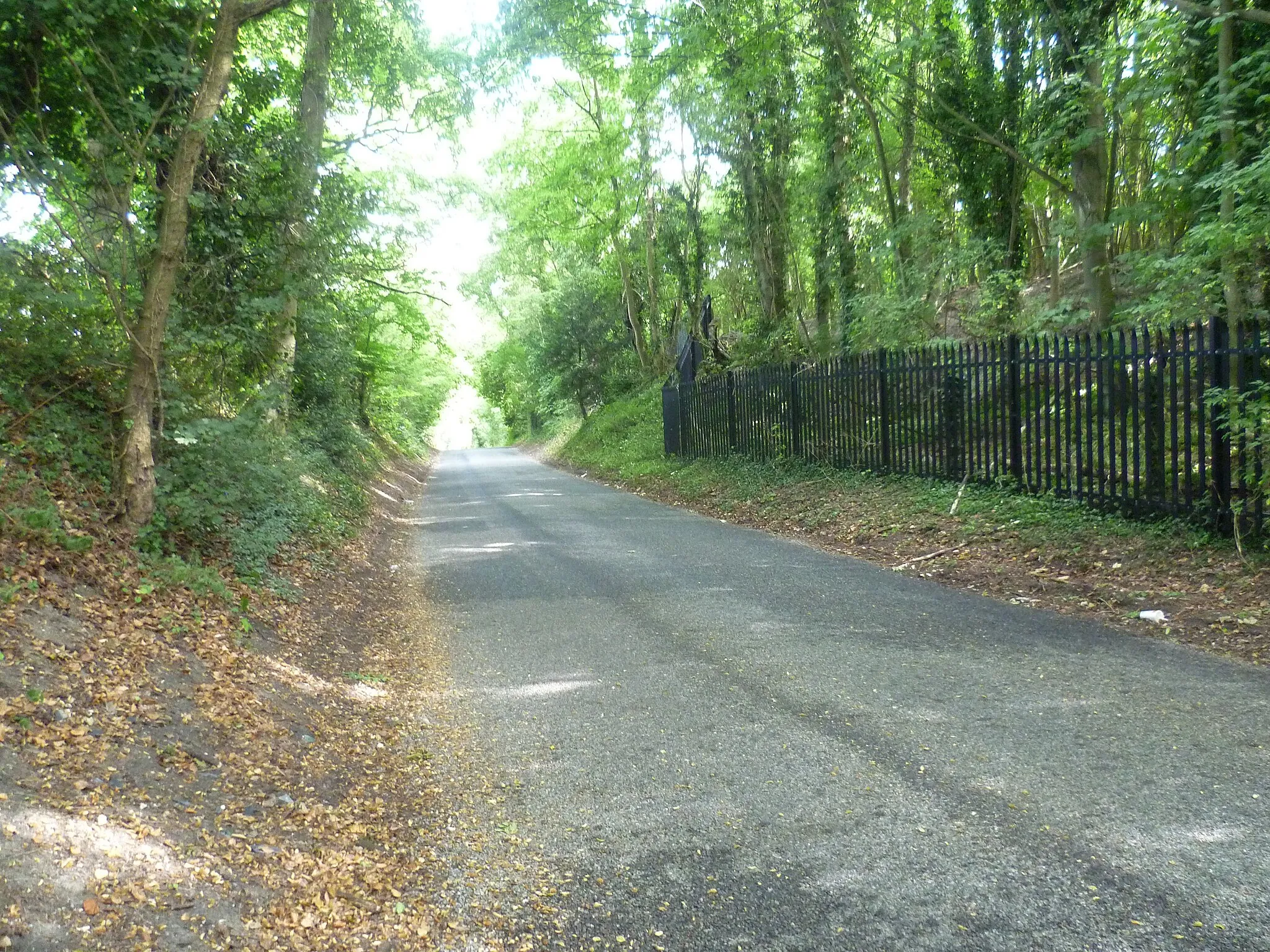 Photo showing: Ladds Lane