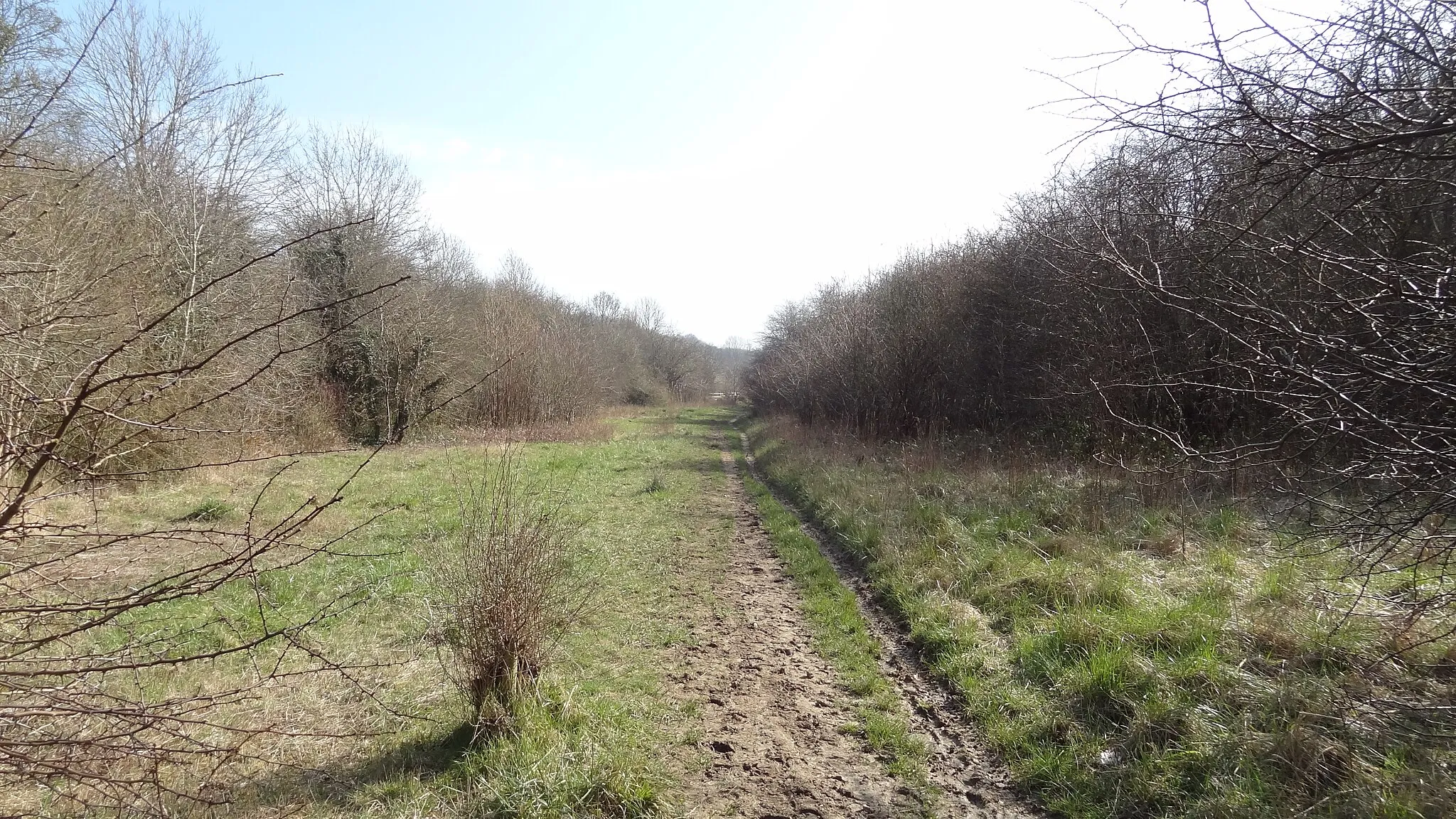 Photo showing: Hutchinson's Bank in New Addington, Croydon, London