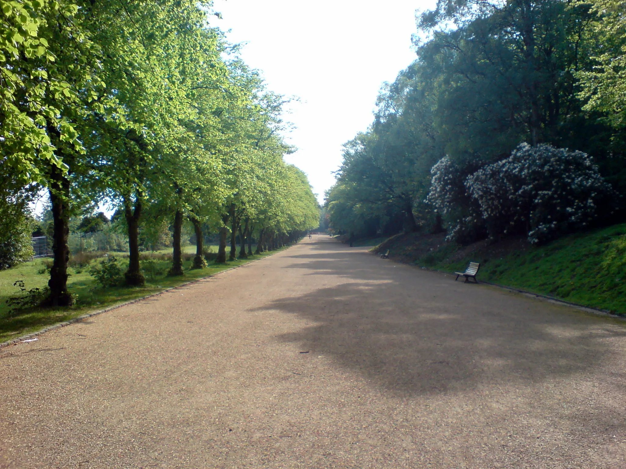 Photo showing: Viewing east to west along the 500-metre Broadwalk in Corporation Park, Blackburn, UK.