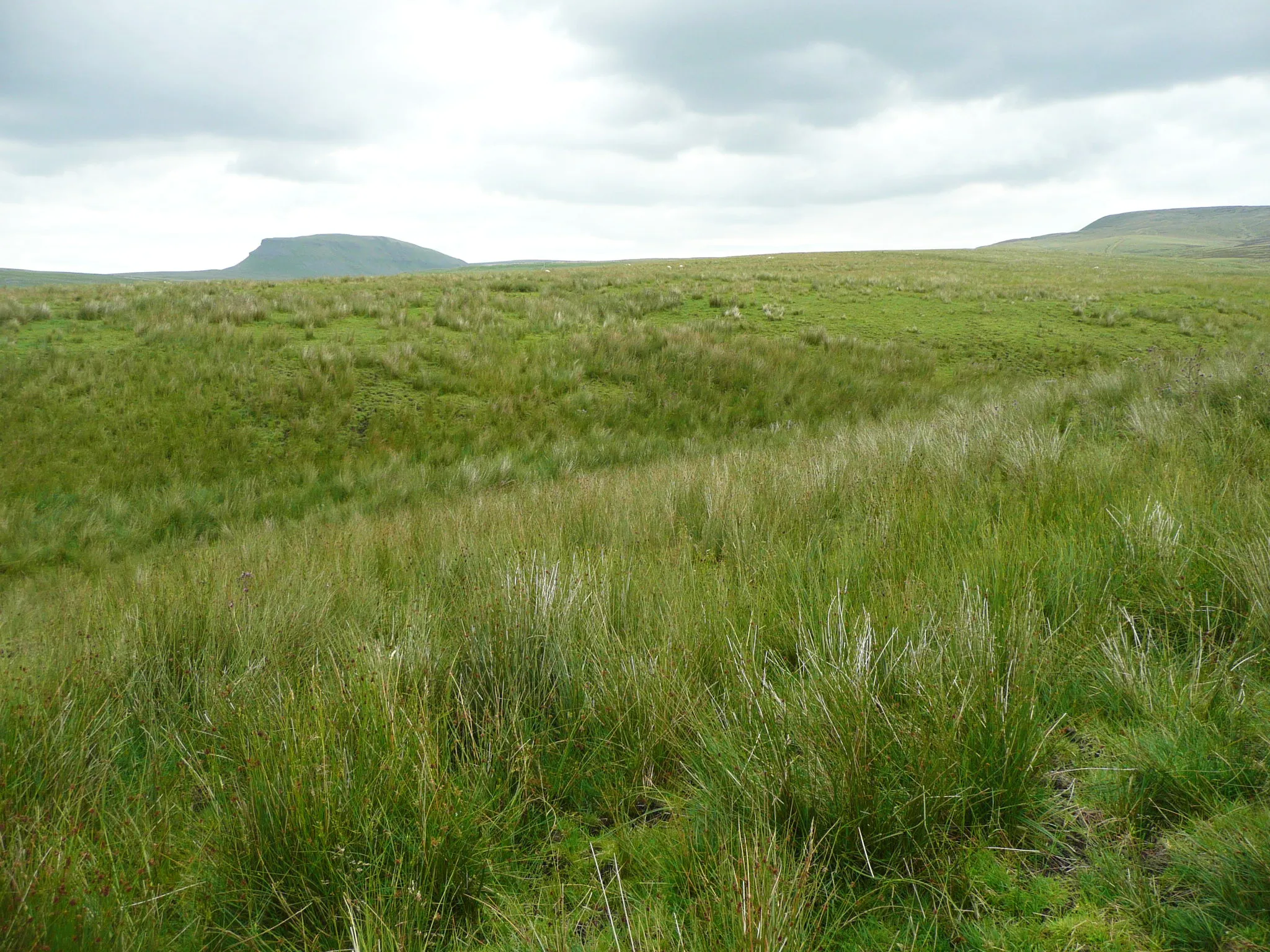 Photo showing: A little valley on Rough Lands