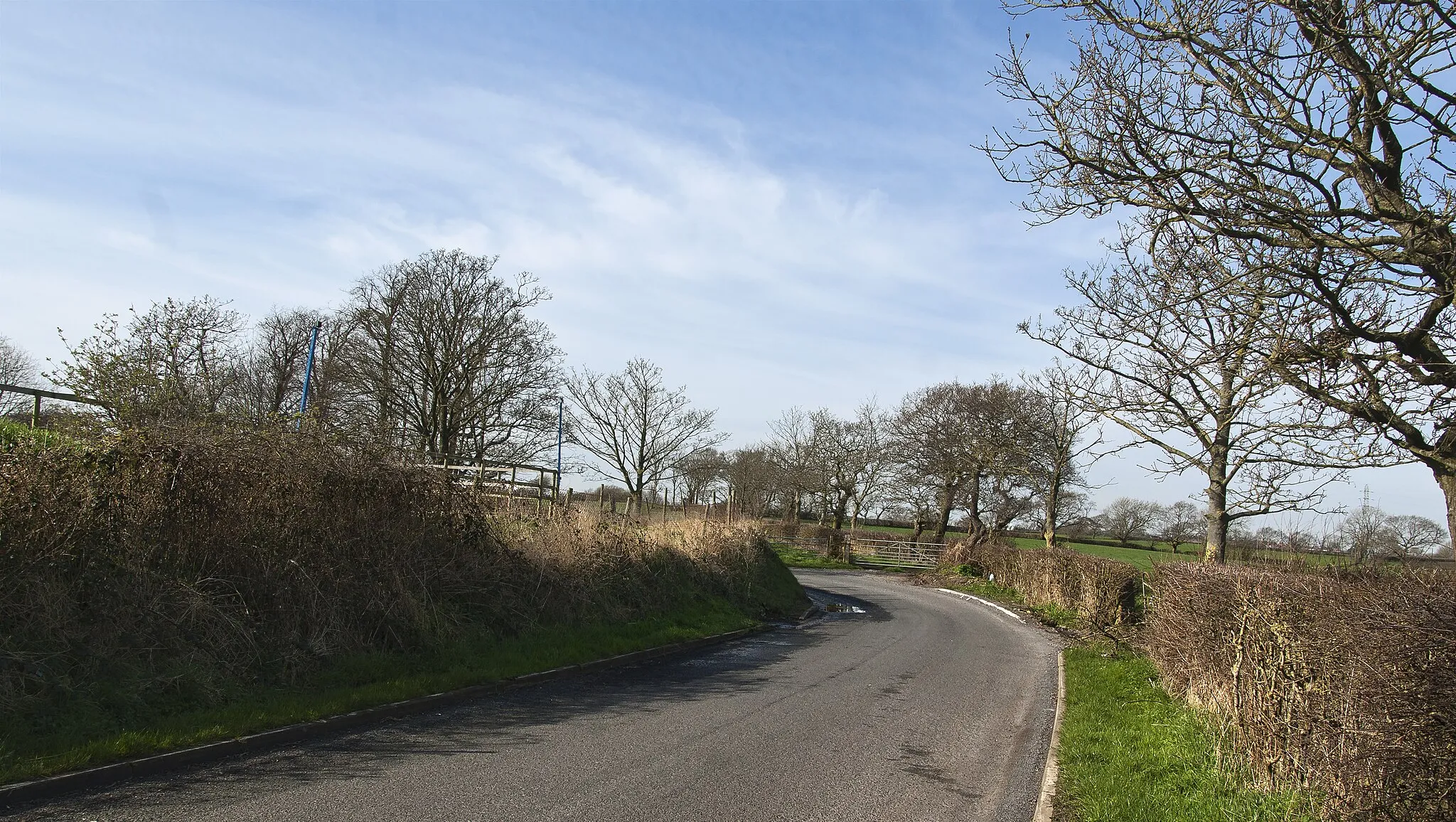 Photo showing: A bend in the road at Quakers Wood