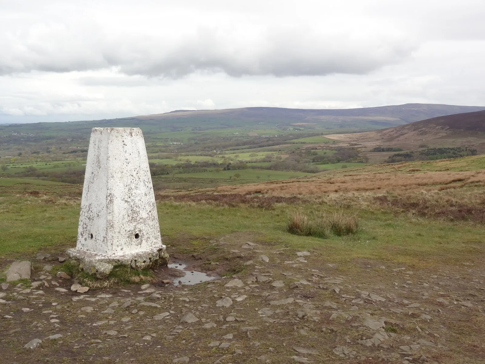 Photo showing: Trig point on Nicky Nook