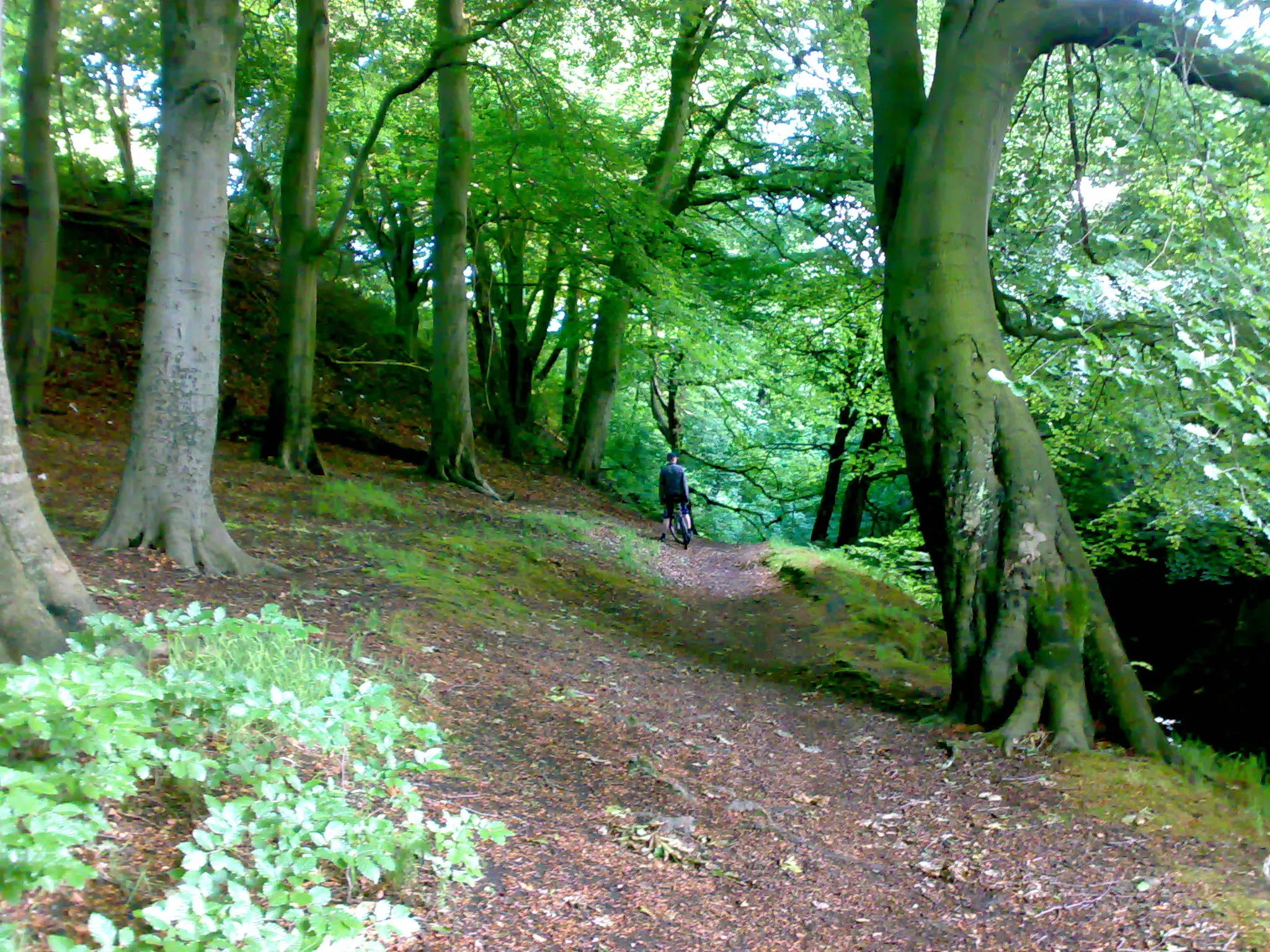 Photo showing: The trail down to Prestwich Clough.  This can be accessed by walking behind the petrol station on junction 17 of the M60 motorway.