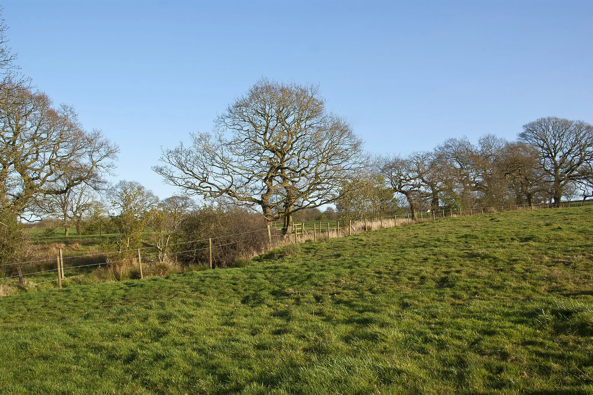 Photo showing: A field boundary in Ashes Farm
