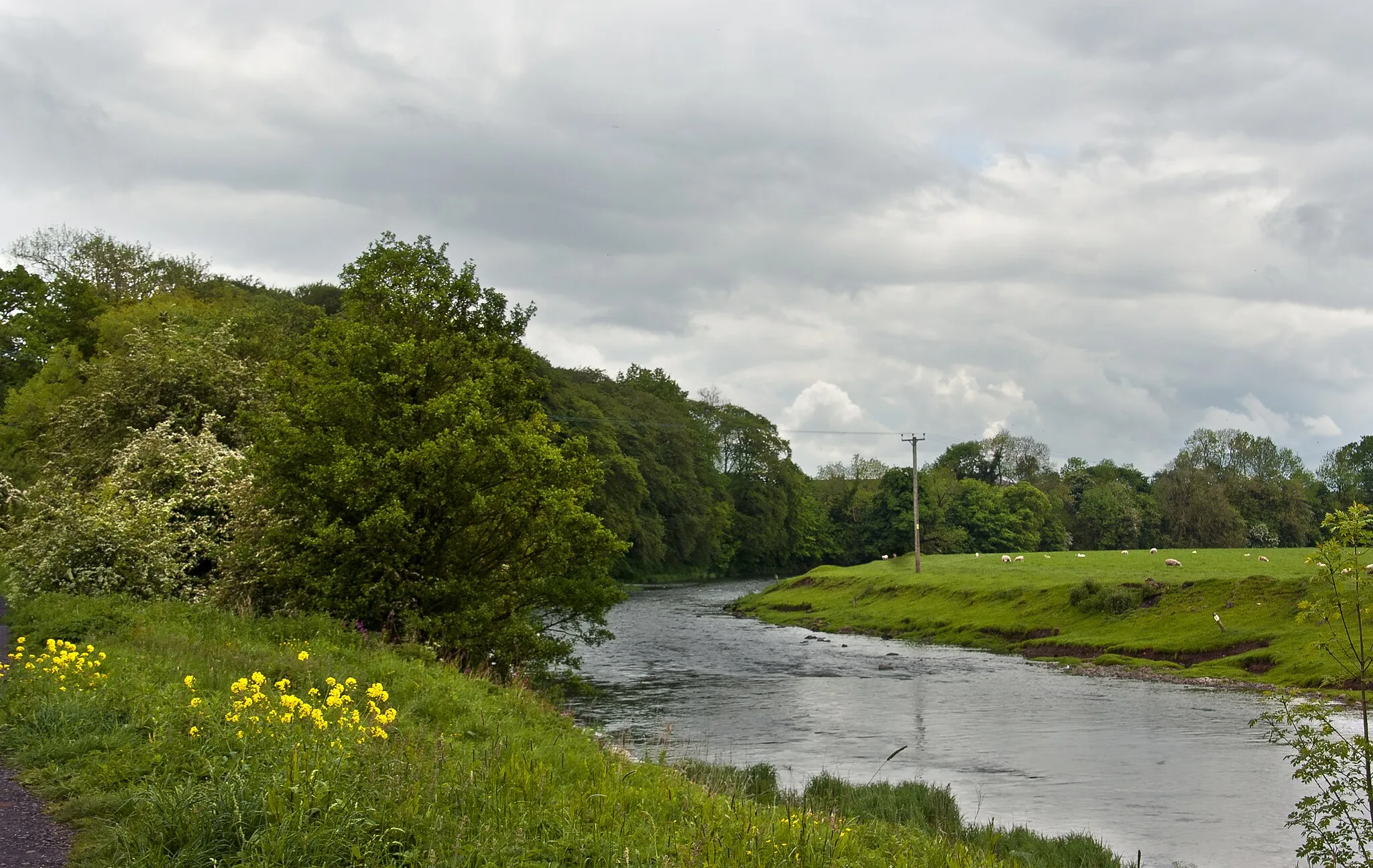 Photo showing: A bend in the River Ribble at Fulshaw Wood