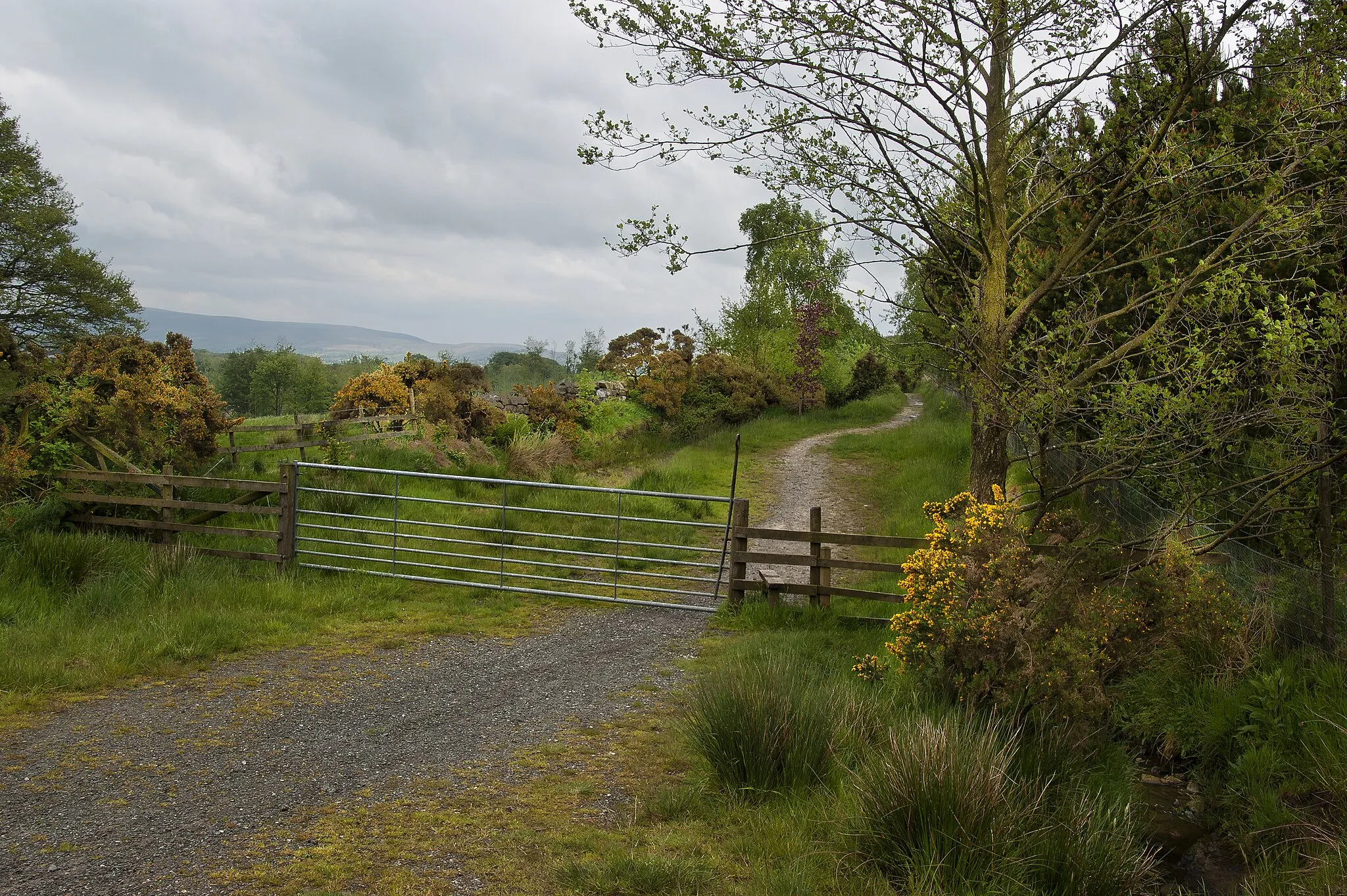Photo showing: A less muddy path ahead