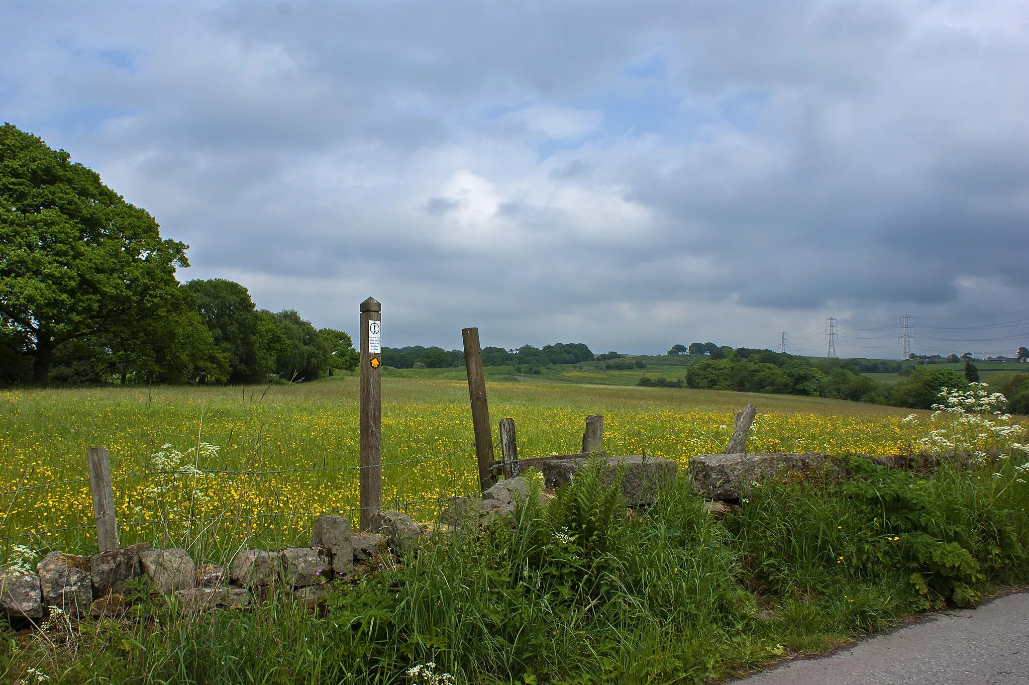 Photo showing: A footpath to Fowler Fold