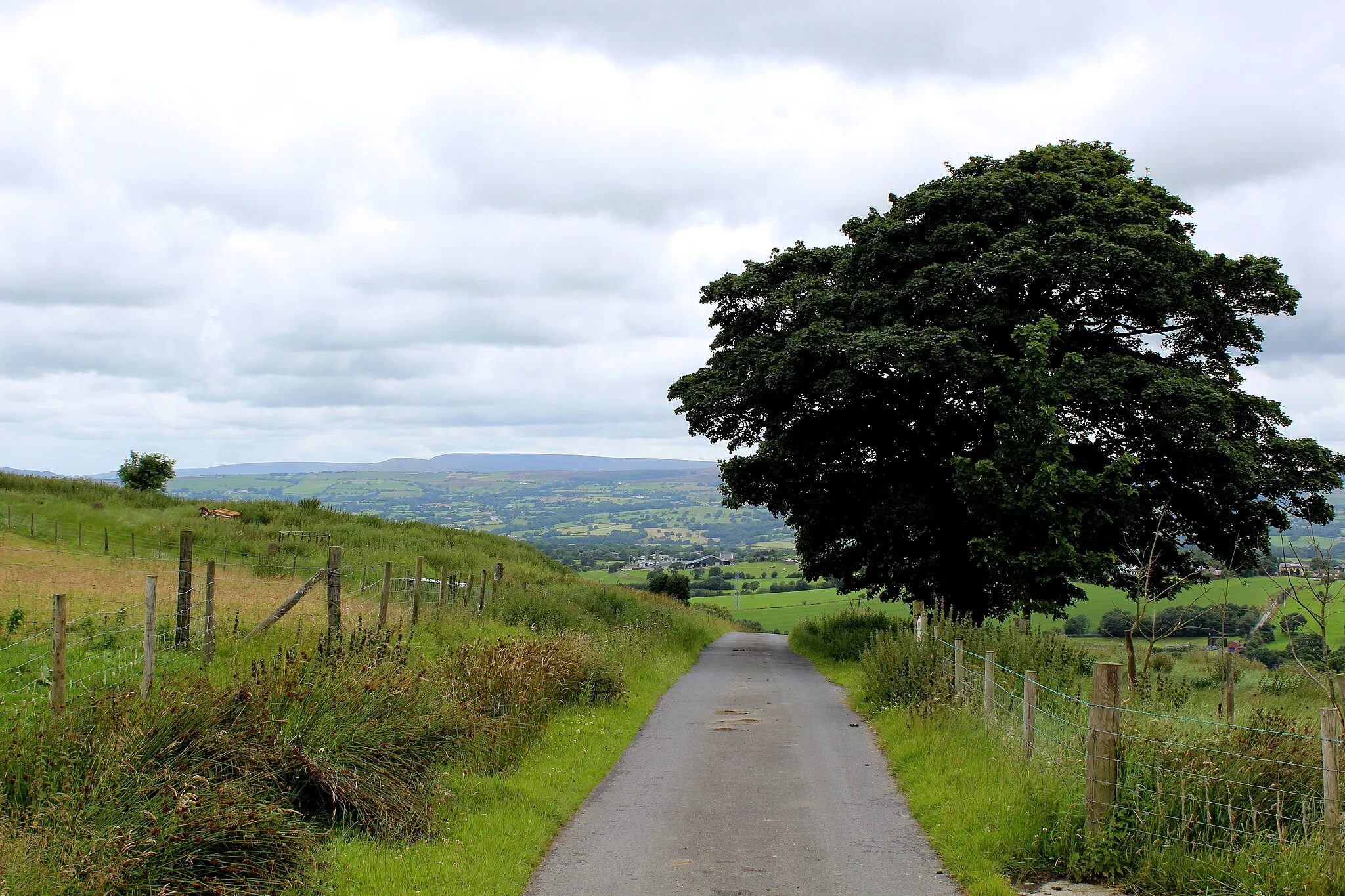 Photo showing: Access to Hagg's Hall Farm