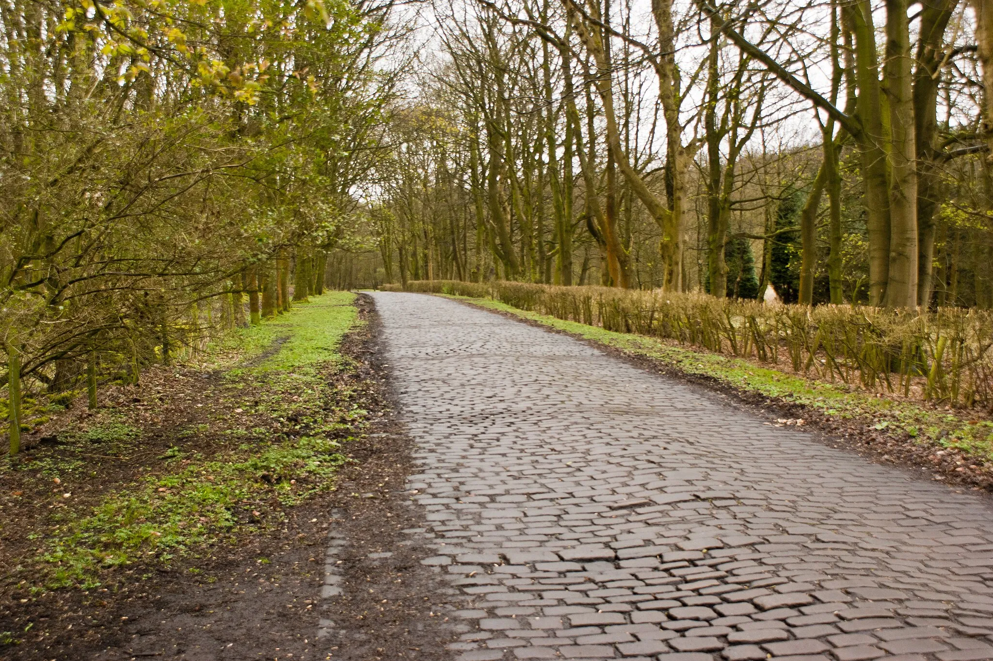 Photo showing: A cobbled lane near Brinscall