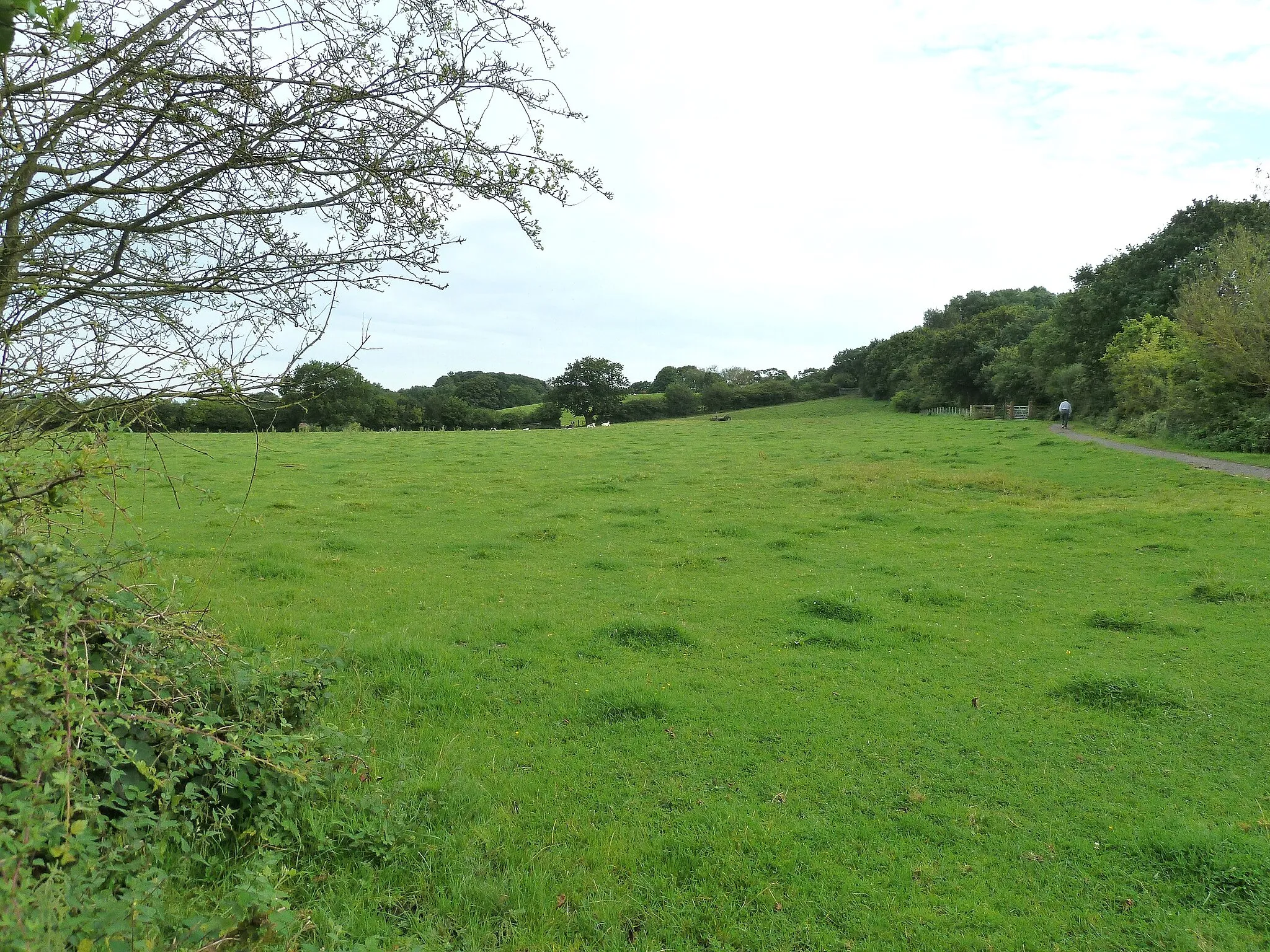 Photo showing: A field with a path