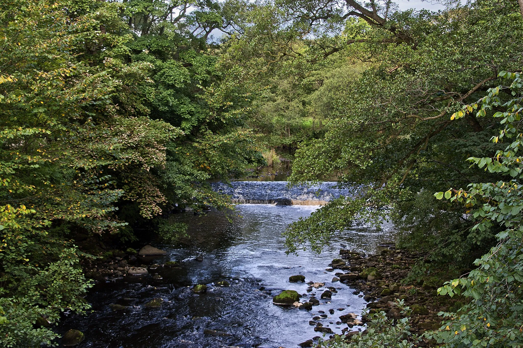 Photo showing: A weir on the River Wyre taken from Street Bridge