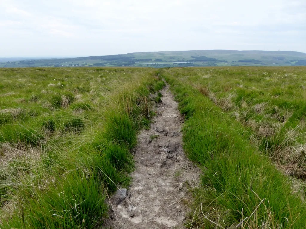 Photo showing: Rutted footpath on Turton Heights