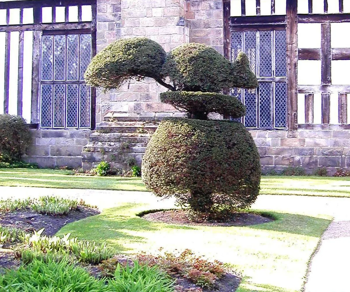 Photo showing: Photograph of squirrel topiary taken at en:Rufford Old Hall, Lancashire, England, by me, on 11 April 2007.