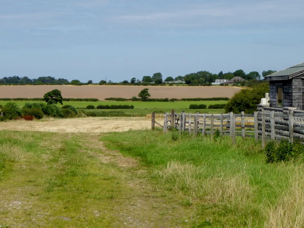 Photo showing: Agricultural land at Copp