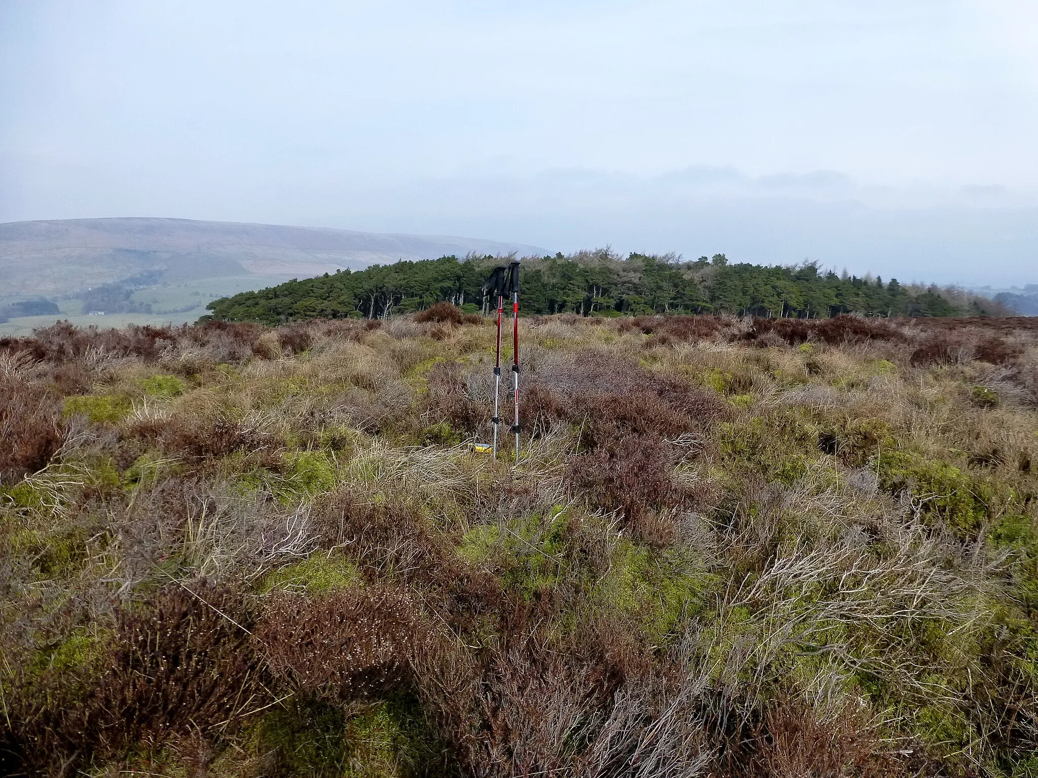 Photo showing: Mossthwaite Fell