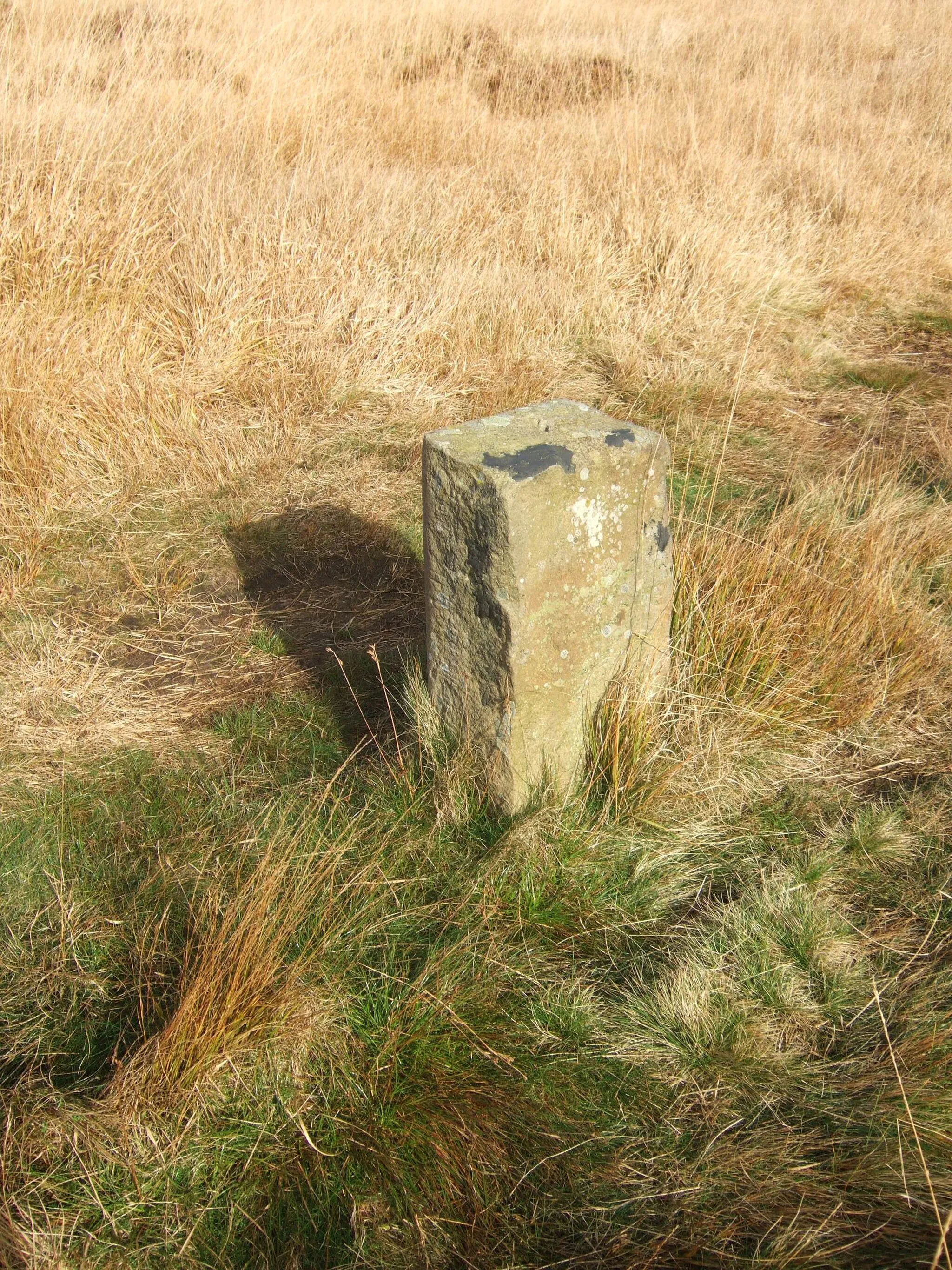 Photo showing: Marker stone on path across Hodder Bank Fell