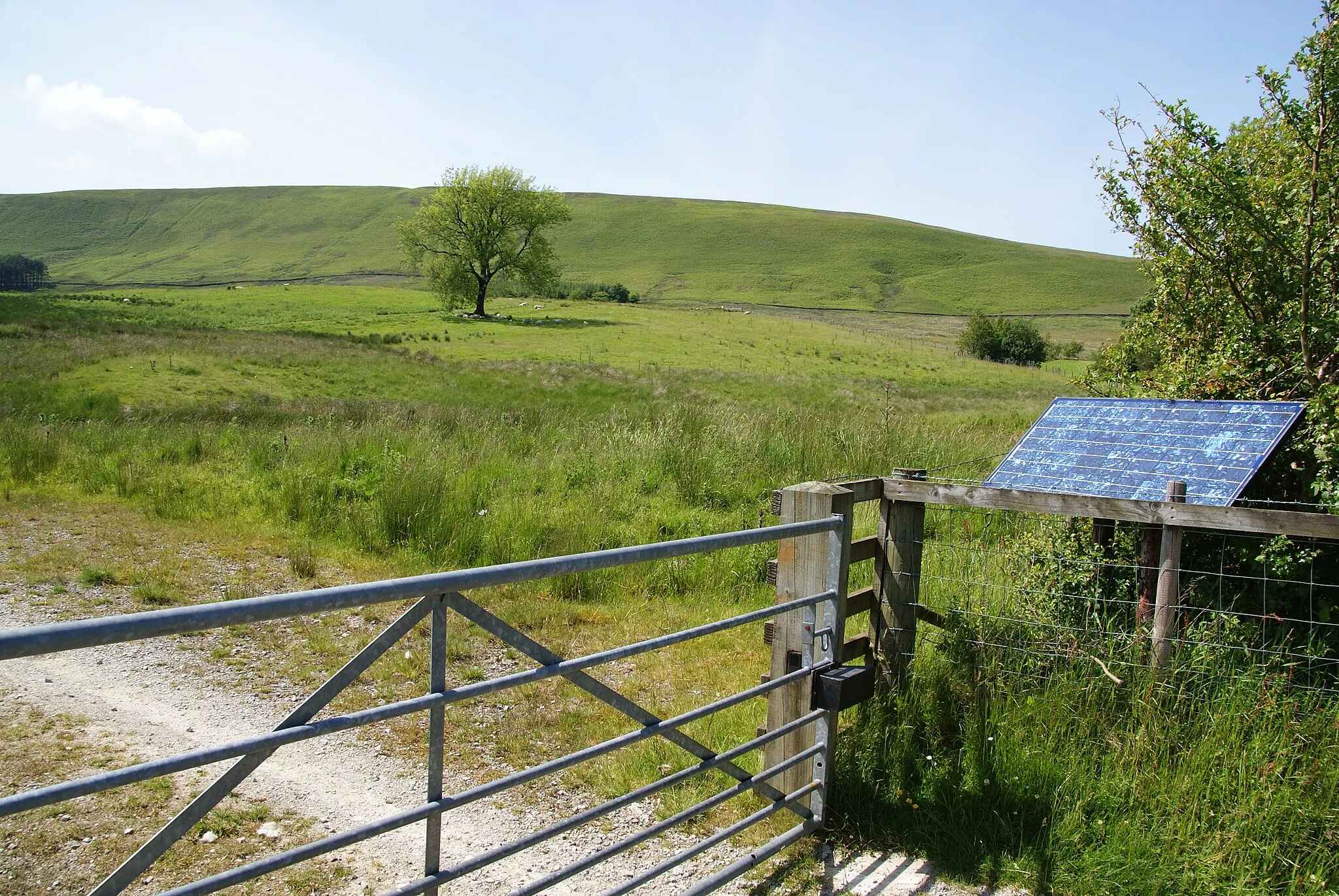 Photo showing: A solar panel in the hedge