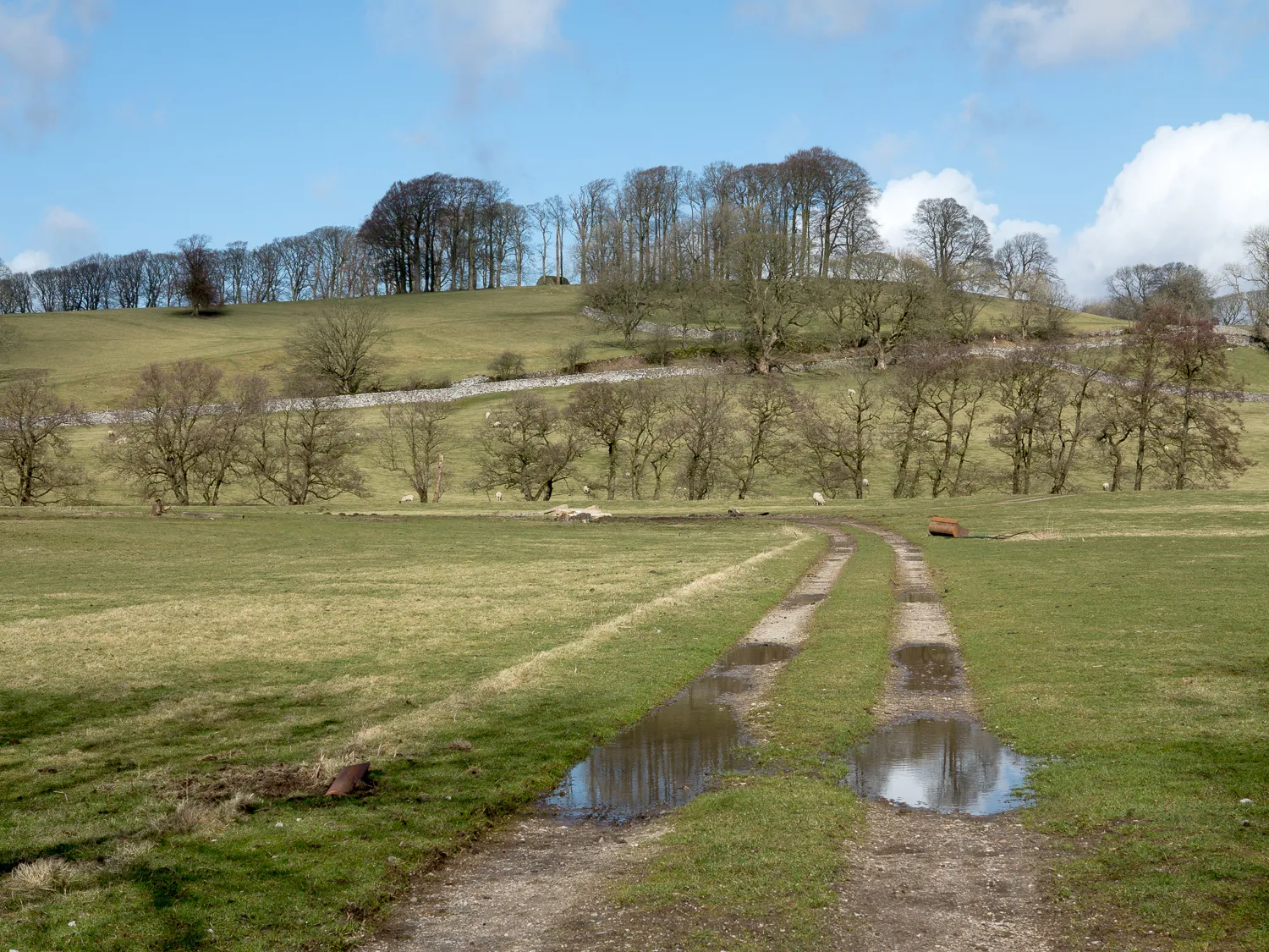 Photo showing: Farm track at Slaidburn