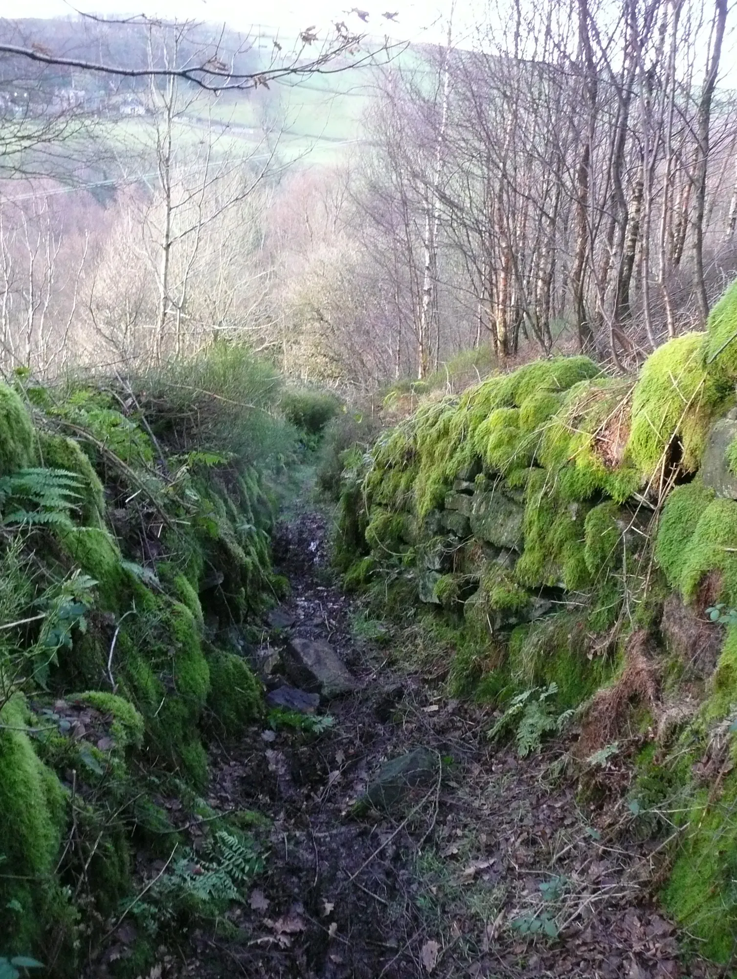 Photo showing: Marshaw Bank, Cragg Vale