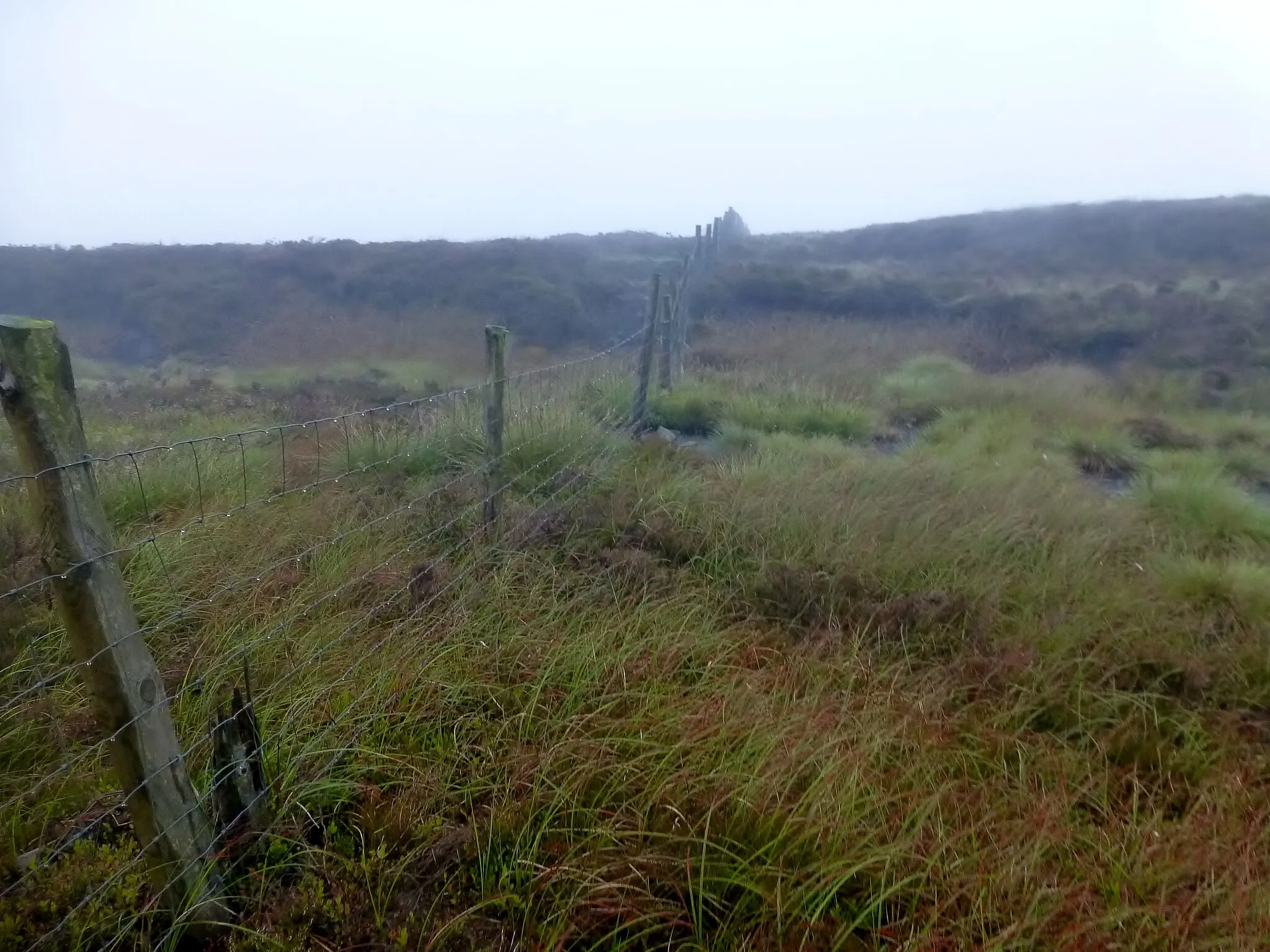 Photo showing: Approaching Baxton Fell