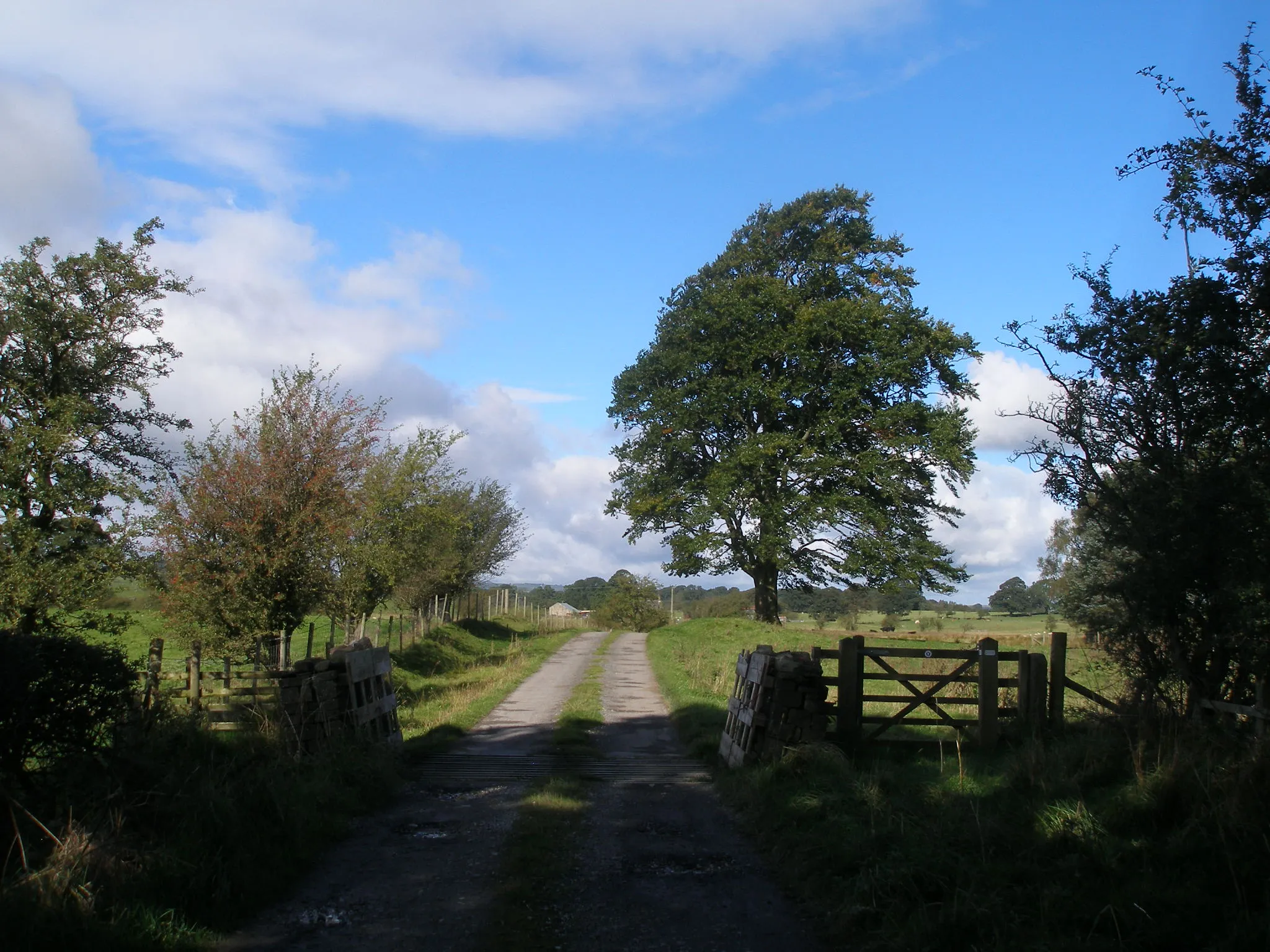 Photo showing: Brook Lane at Beggars Hill Plantation